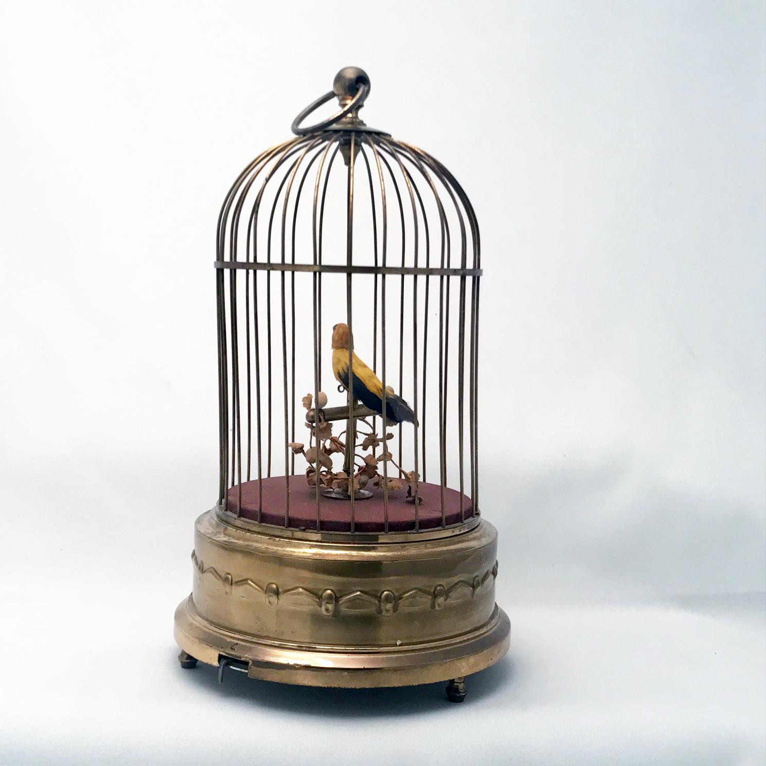 bird automaton for sale