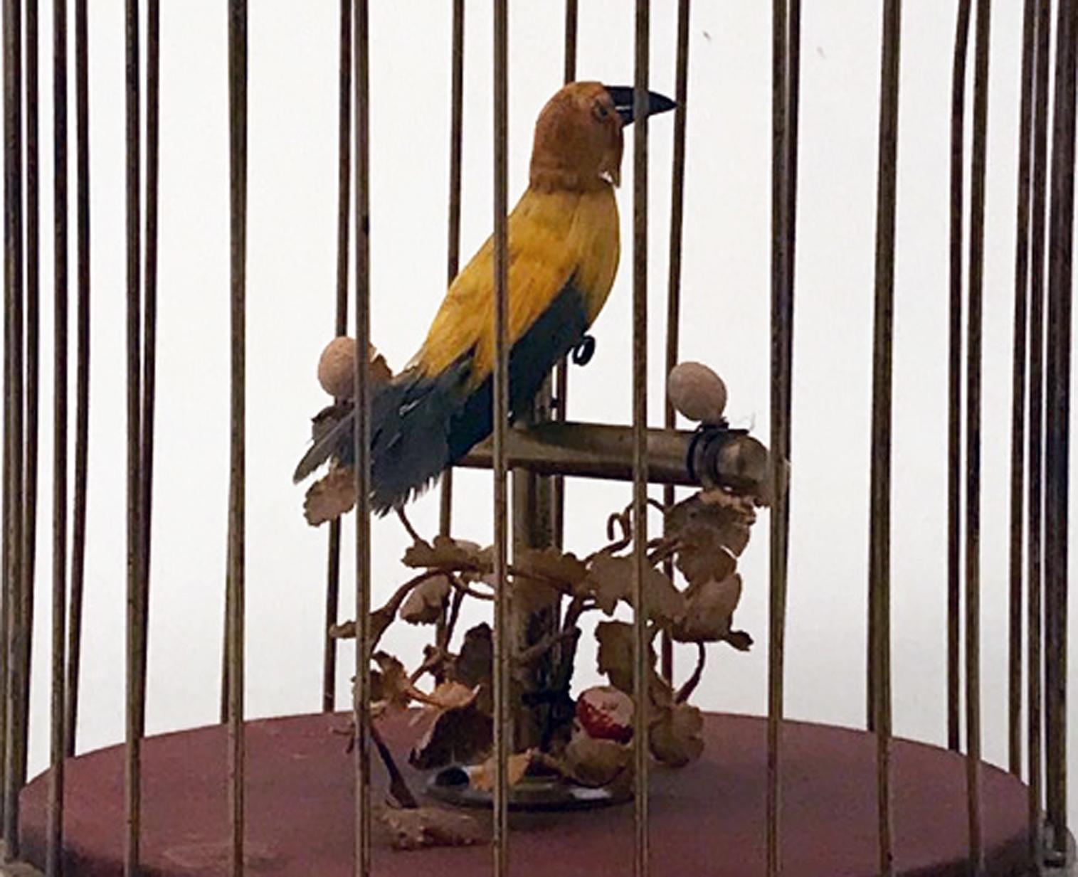 German Vintage Karl Griesbaum Singing Bird Automaton