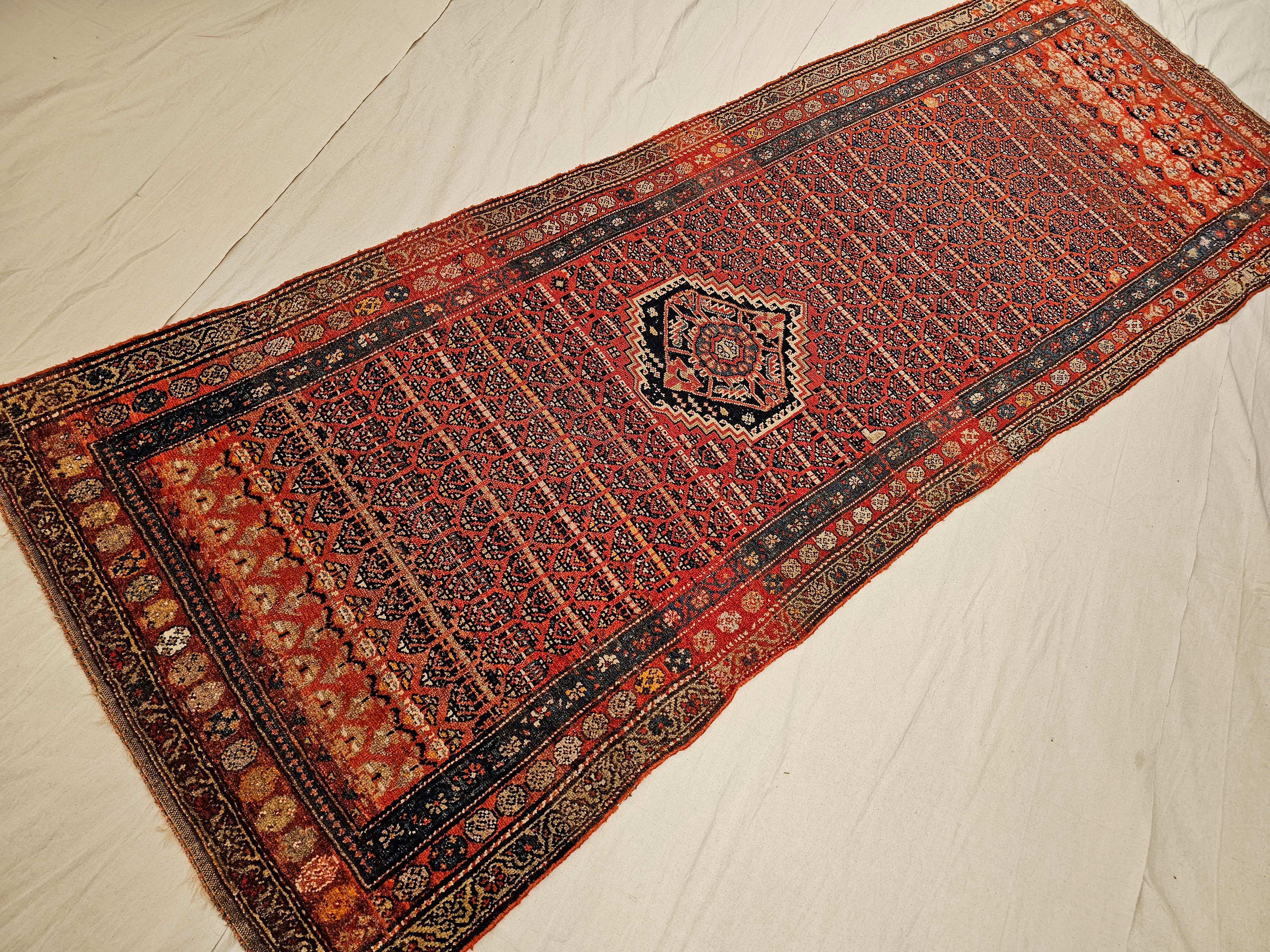 Vintage Kurdish Bidjar Wide Runner in Paisley Design in Terracotta, French Blue For Sale 5