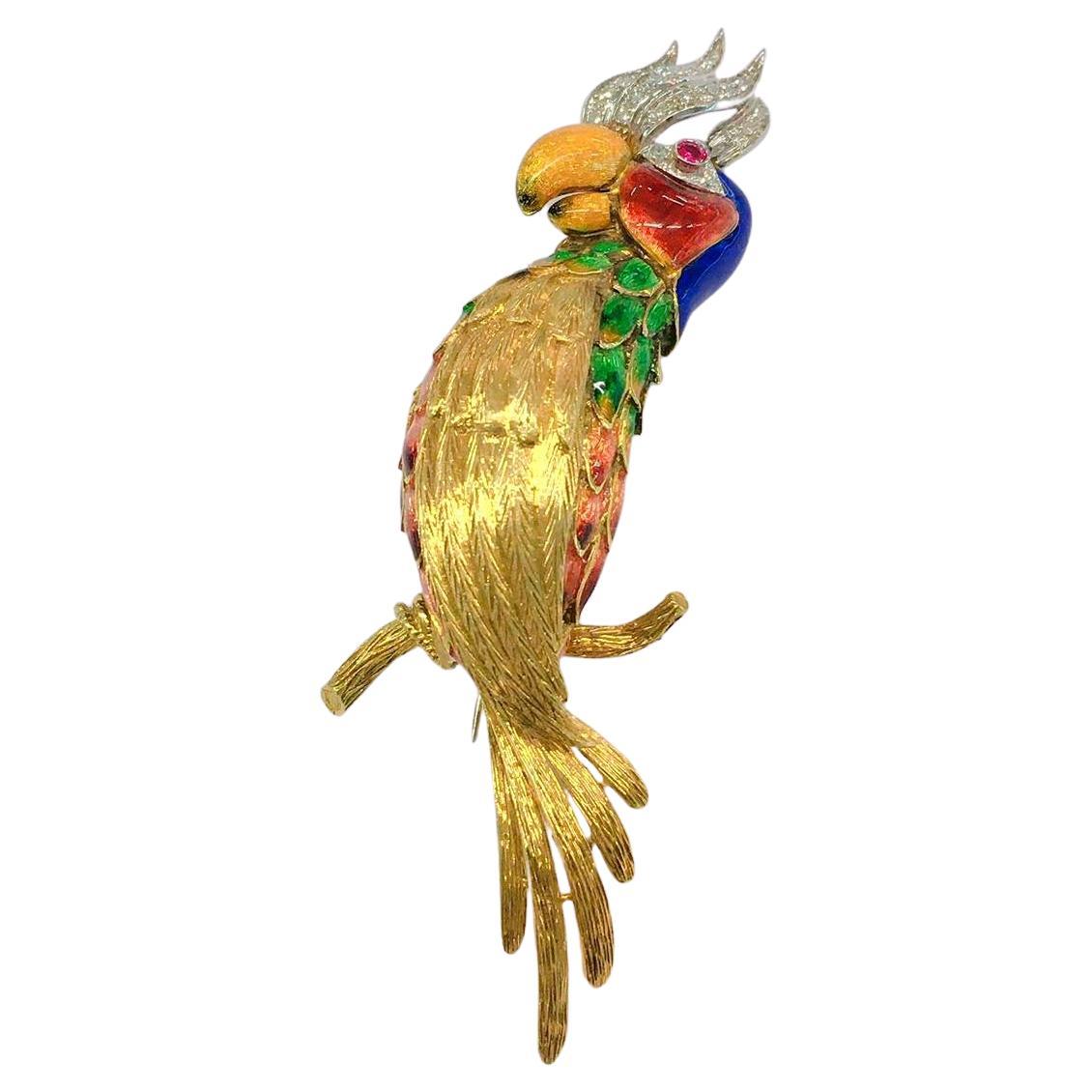 Vintage large heavy 18k gold brooch in a parrot designe with colorful enamel topped with brilliant cut diamonds and natural ruby eyes with a total gold weight 34 grams and brooch lenght 10cm made in europe 1940/1950.c hall marked 750 gold standard