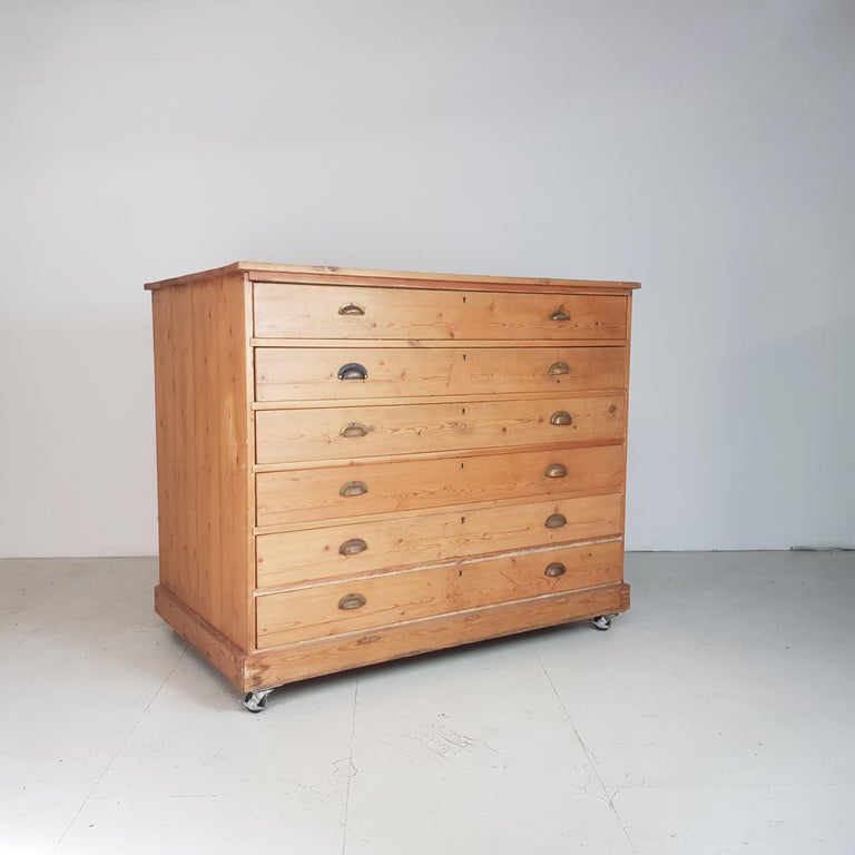 Vintage Large 1930s Plan Chest With Brass Handles For Sale At 1stdibs