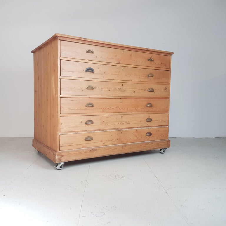 Vintage Large 1930s Plan Chest With Brass Handles For Sale At 1stdibs