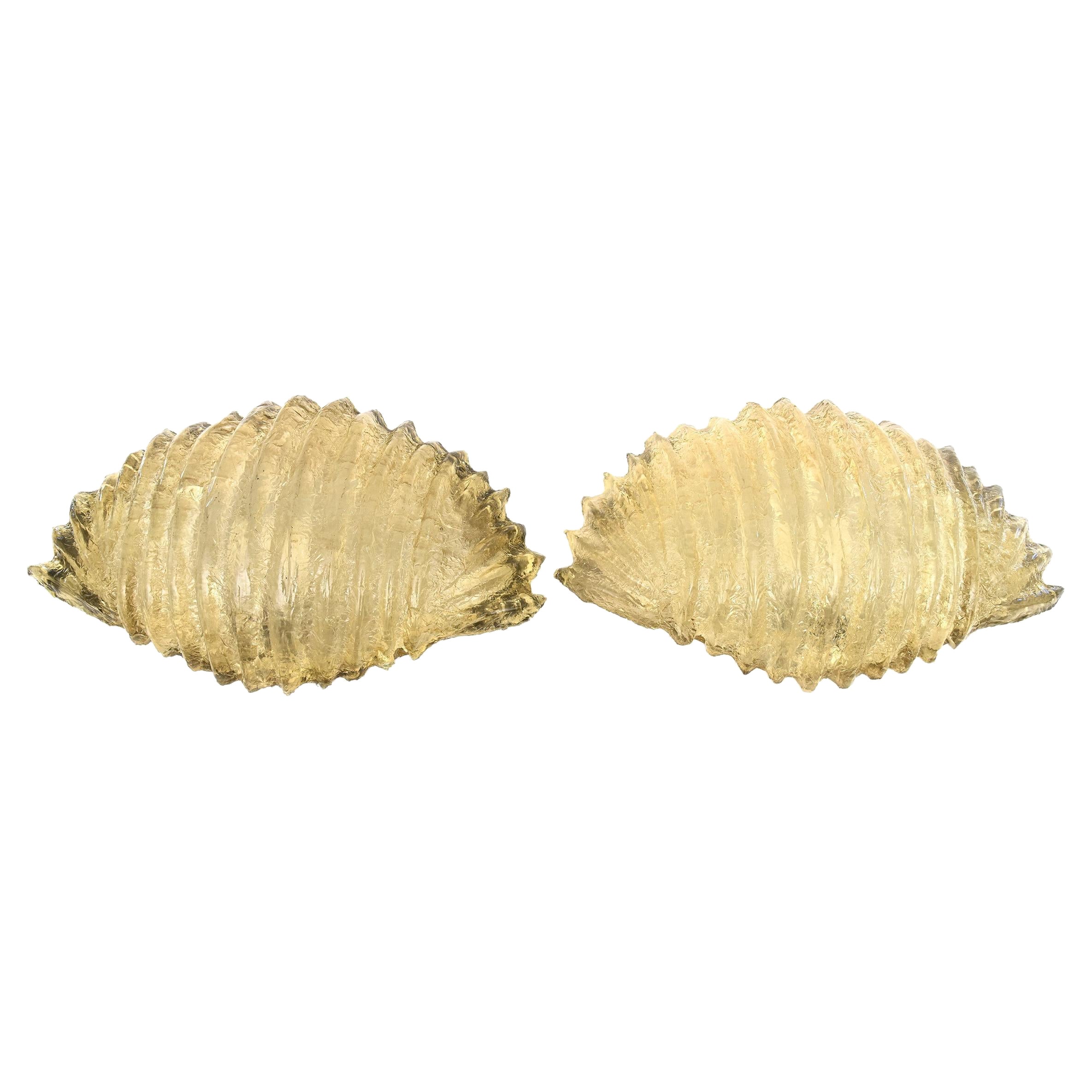 Sconcese da parete a conchiglia in resina oro ambra di grandi dimensioni vintage  Hollywood Regency Coppia di