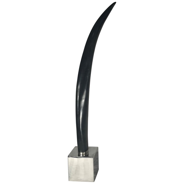 Horn Decorative Objects 181 For Sale At 1stdibs