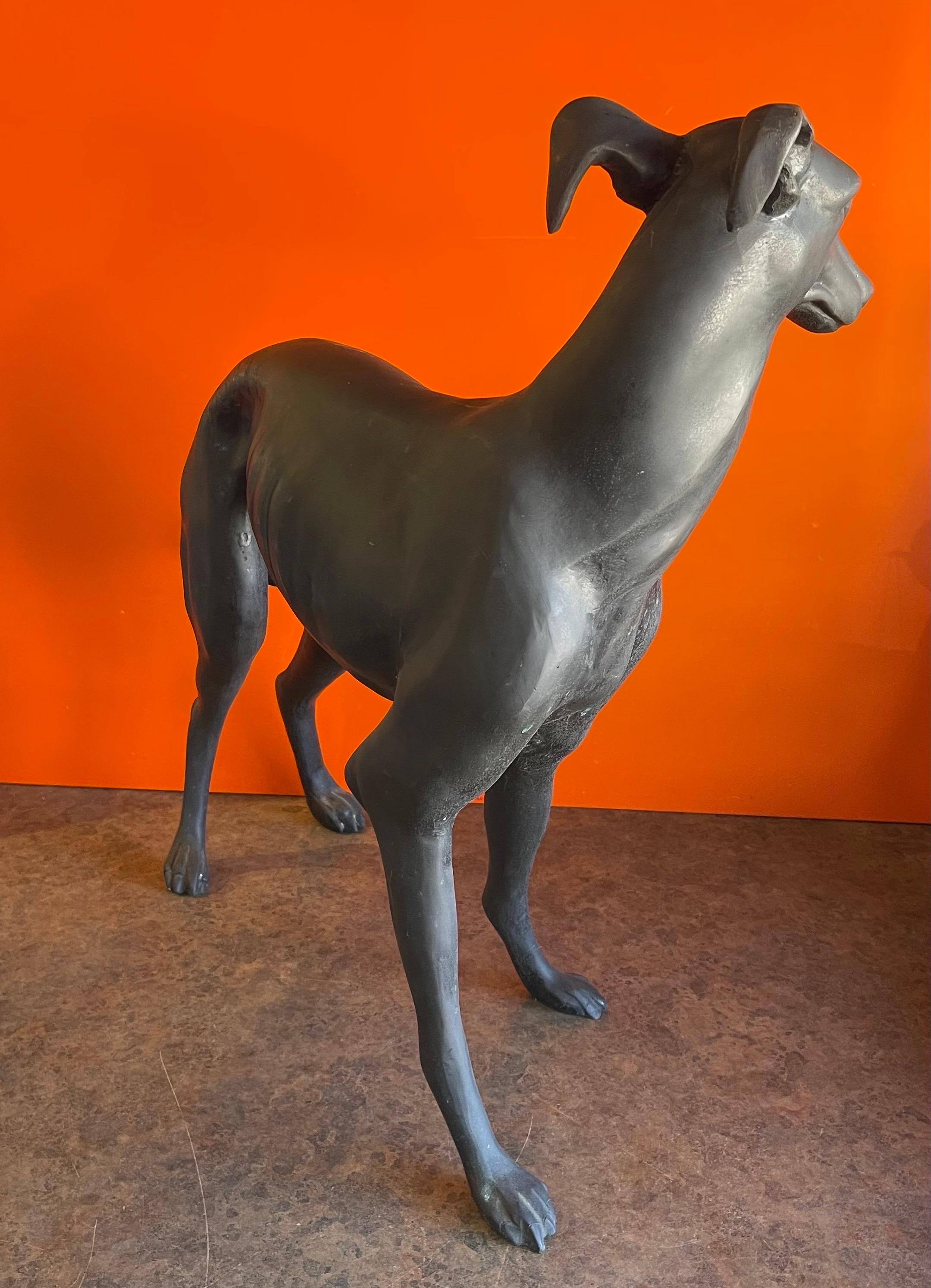 Vintage Large Bronze Greyhound Sculpture 3