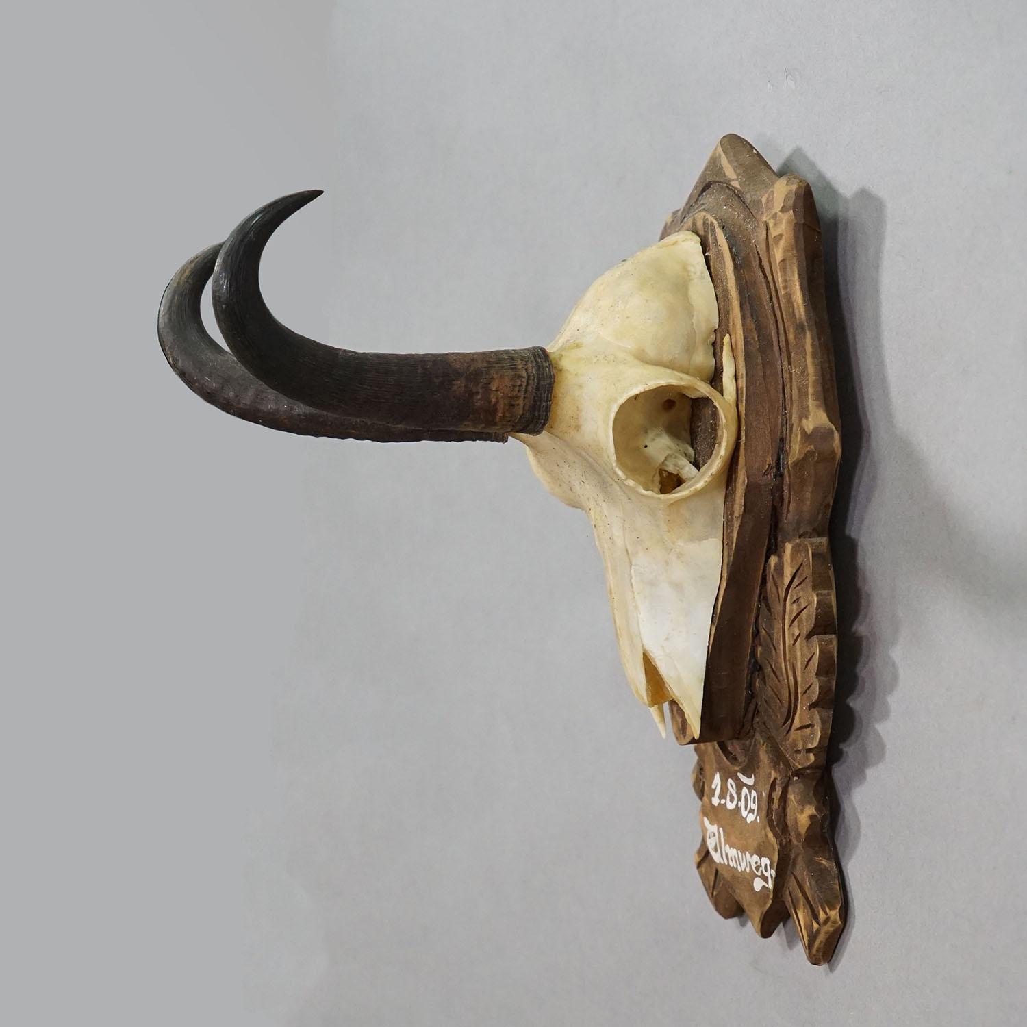Vintage Large Chamois Trophy auf geschnitzter Plakette, Österreich (Schwarzwald) im Angebot
