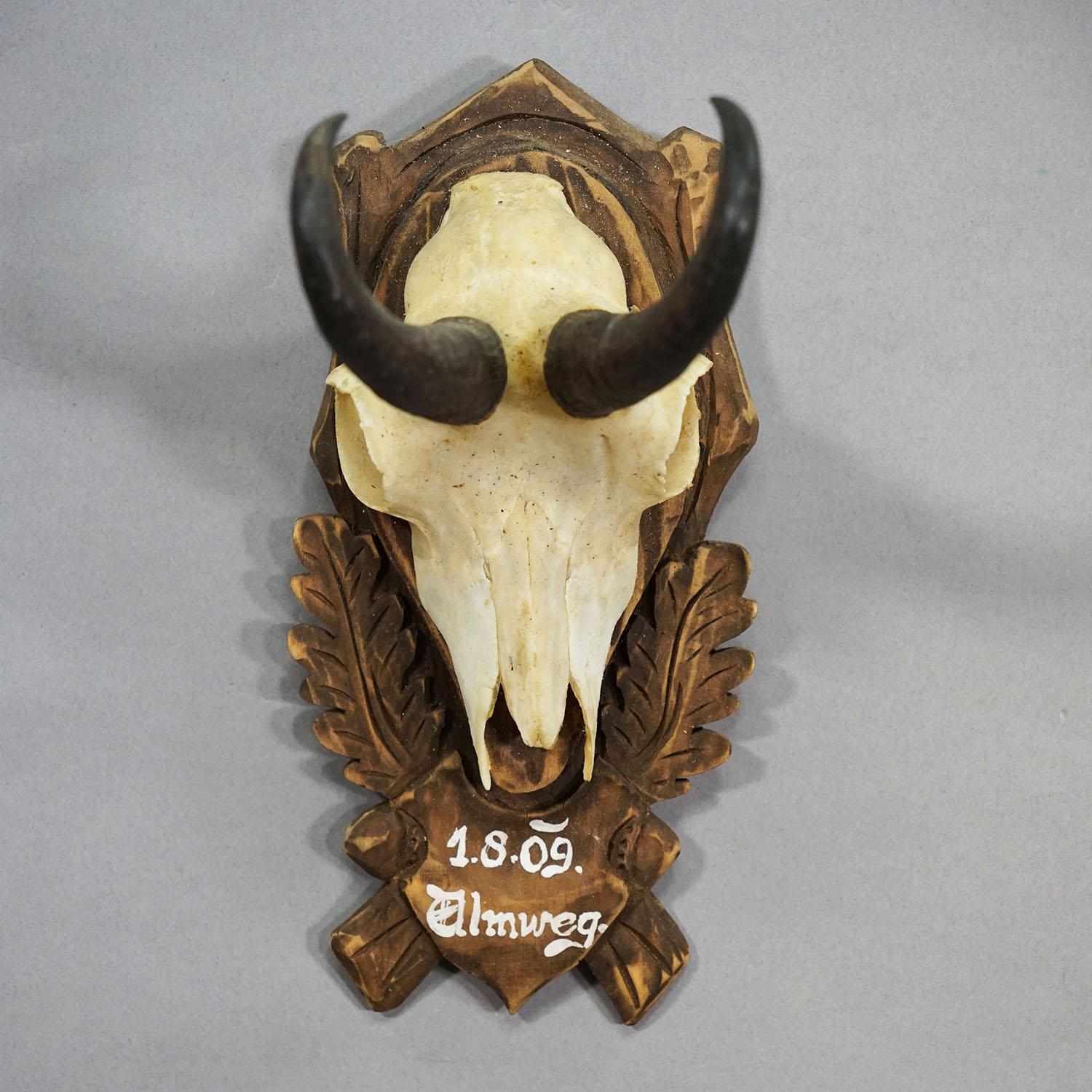 Vintage Large Chamois Trophy auf geschnitzter Plakette, Österreich (Österreichisch) im Angebot