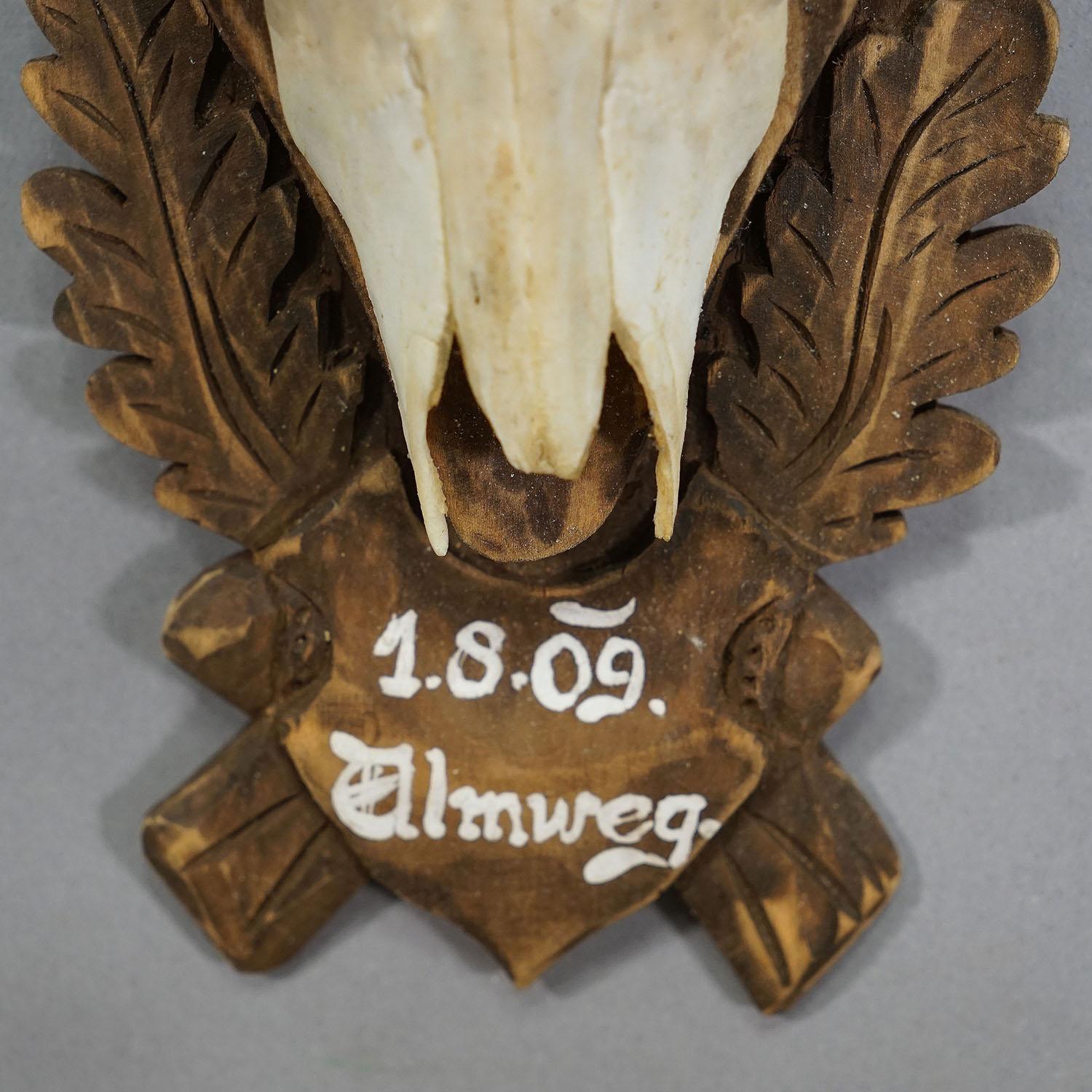 Vintage Large Chamois Trophy auf geschnitzter Plakette, Österreich im Zustand „Gut“ im Angebot in Berghuelen, DE