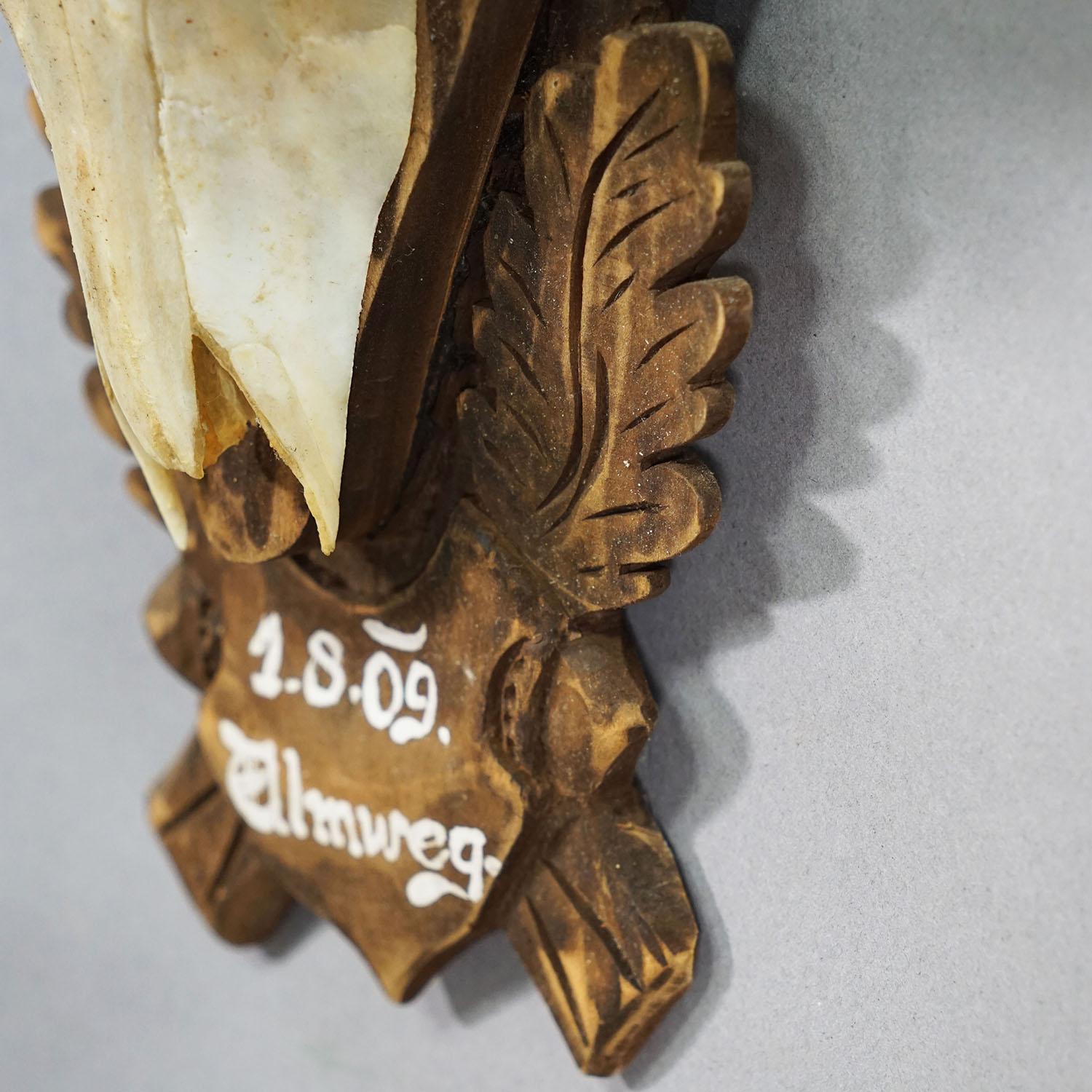 Vintage Large Chamois Trophy auf geschnitzter Plakette, Österreich (21. Jahrhundert und zeitgenössisch) im Angebot