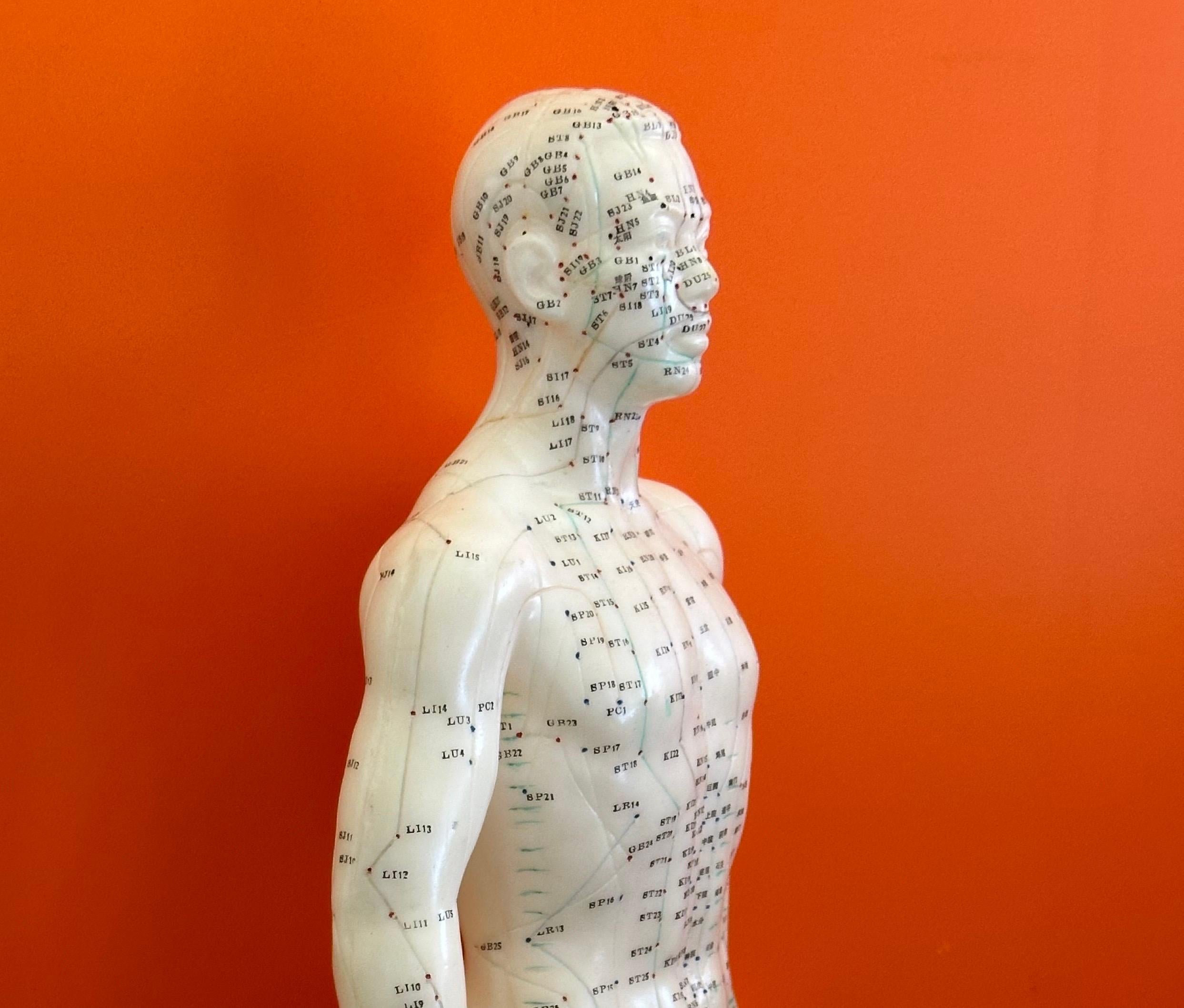 Statua / Bambola cinese di agopuntura di grandi dimensioni vintage in vendita 5