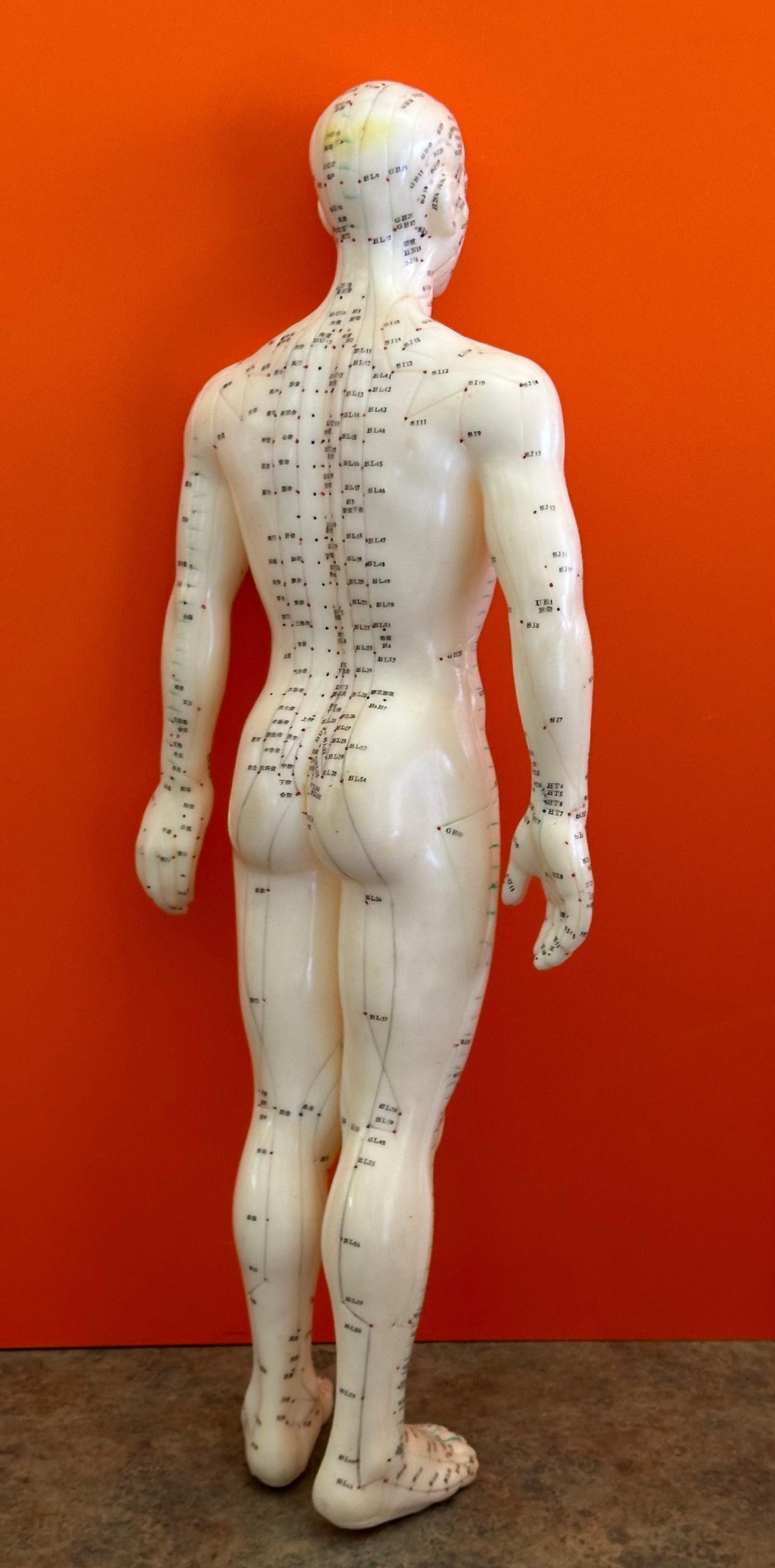 Statua / Bambola cinese di agopuntura di grandi dimensioni vintage in vendita 6