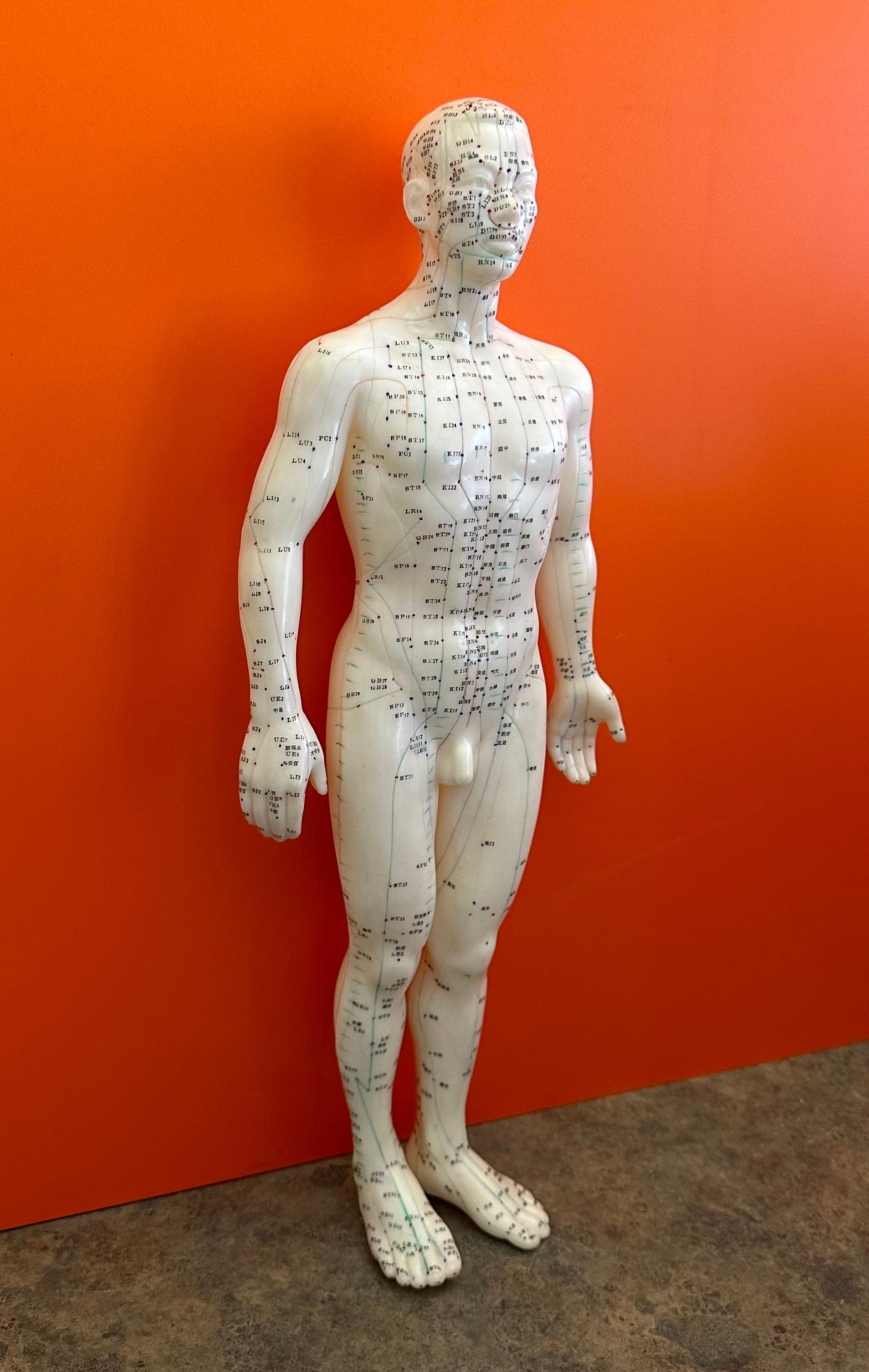 XX secolo Statua / Bambola cinese di agopuntura di grandi dimensioni vintage in vendita