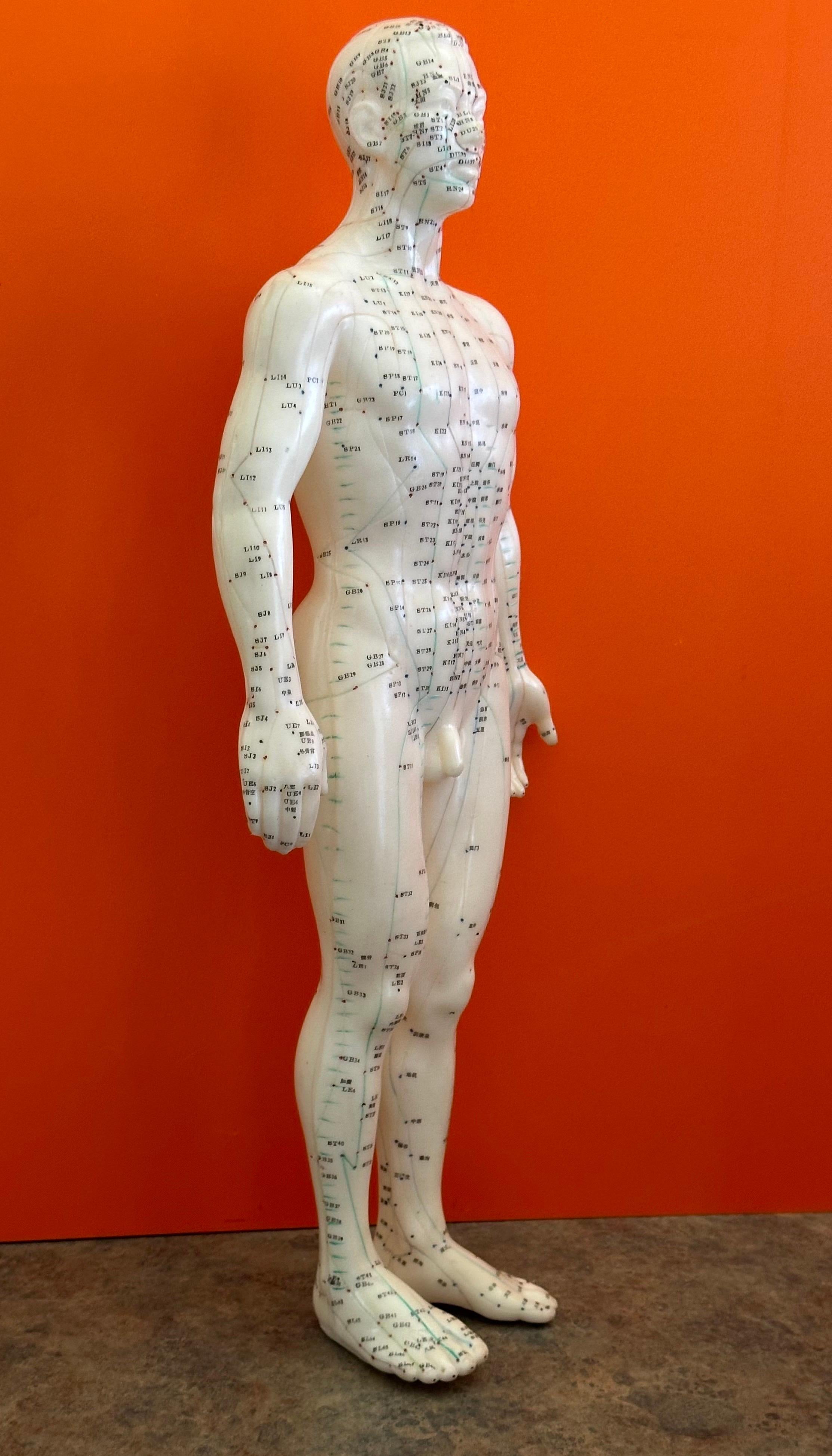 Statua / Bambola cinese di agopuntura di grandi dimensioni vintage in vendita 1