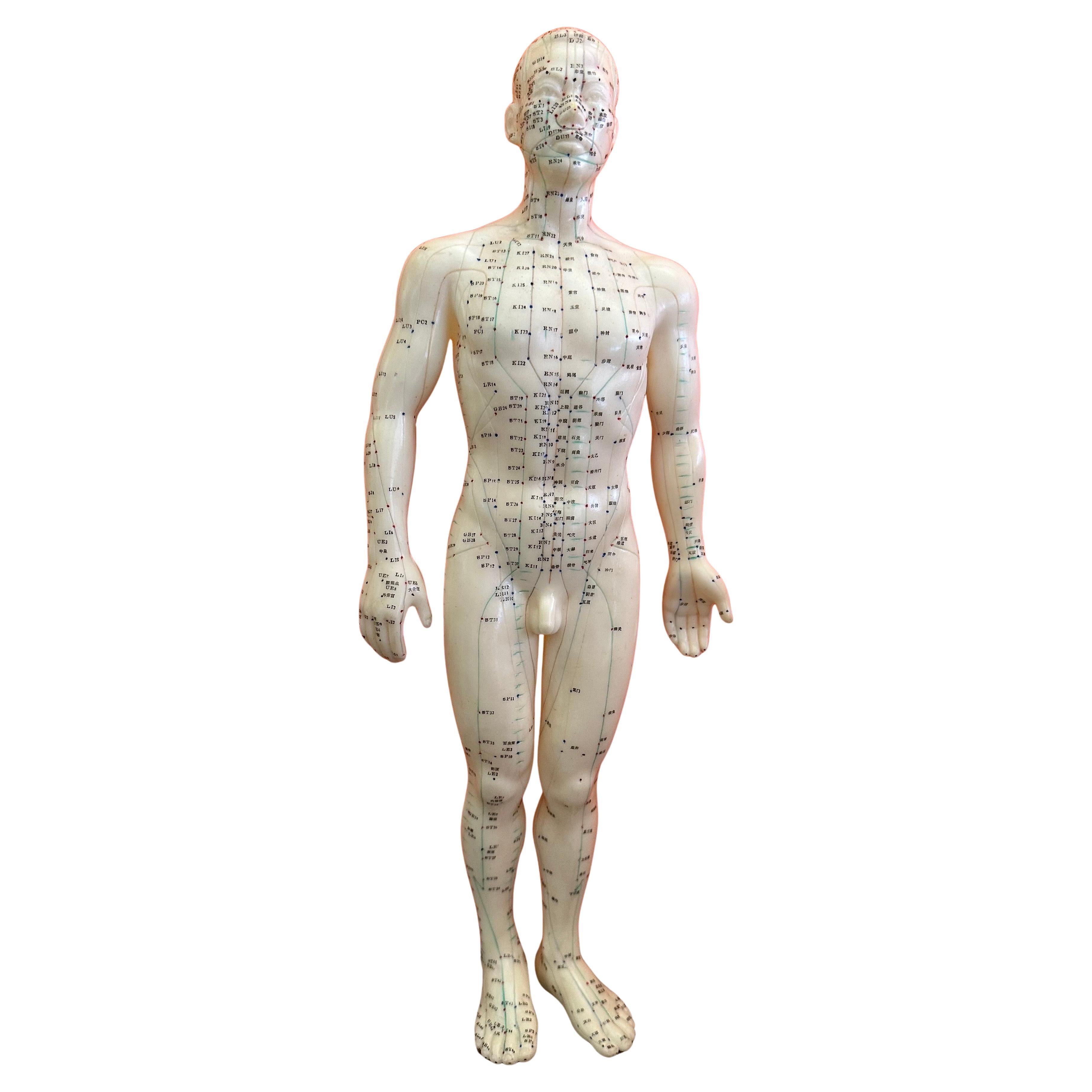 Statua / Bambola cinese di agopuntura di grandi dimensioni vintage in vendita
