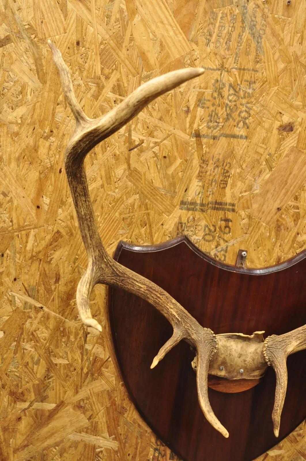 Rustic Vintage Large Deer Horn Elk Antlers Rack Skull Mount on Wooden Wall Plaque