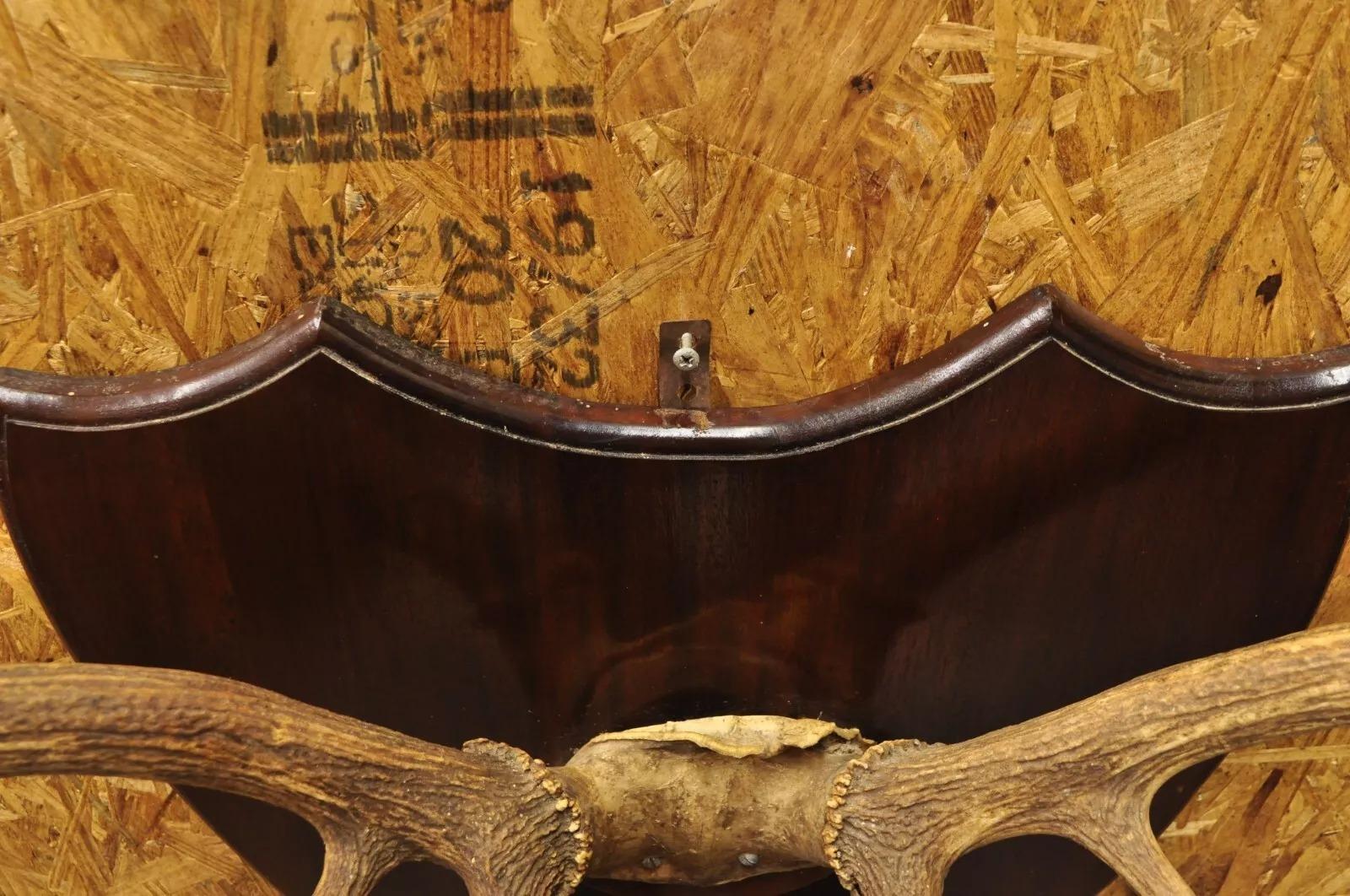 Vintage Large Deer Horn Elk Antlers Rack Skull Mount on Wooden Wall Plaque In Good Condition In Philadelphia, PA
