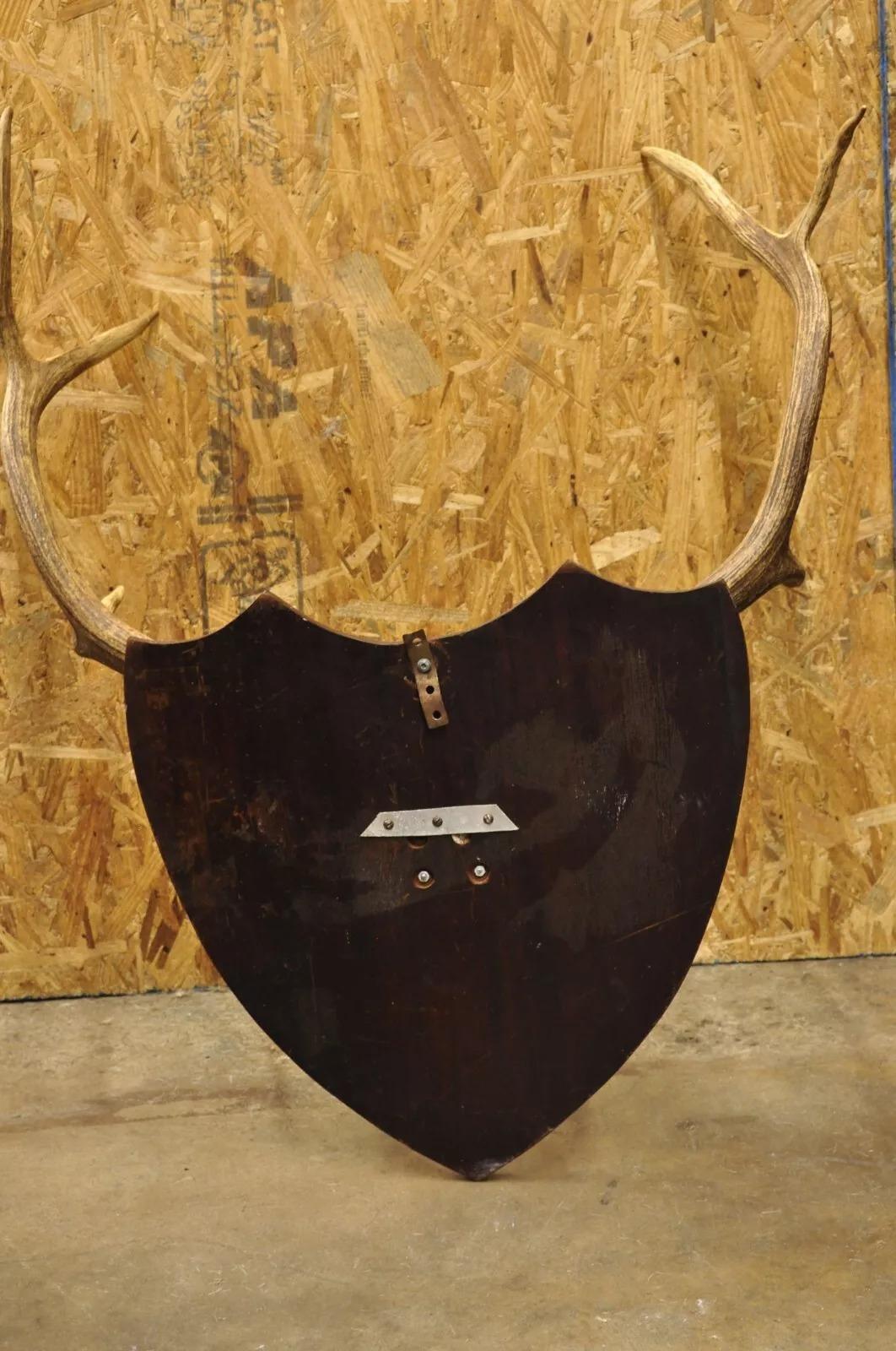 20th Century Vintage Large Deer Horn Elk Antlers Rack Skull Mount on Wooden Wall Plaque