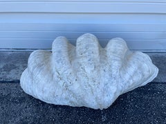 Vintage Clam Shell Planter, Tridacna Gigas, Palm Beach, 1970s