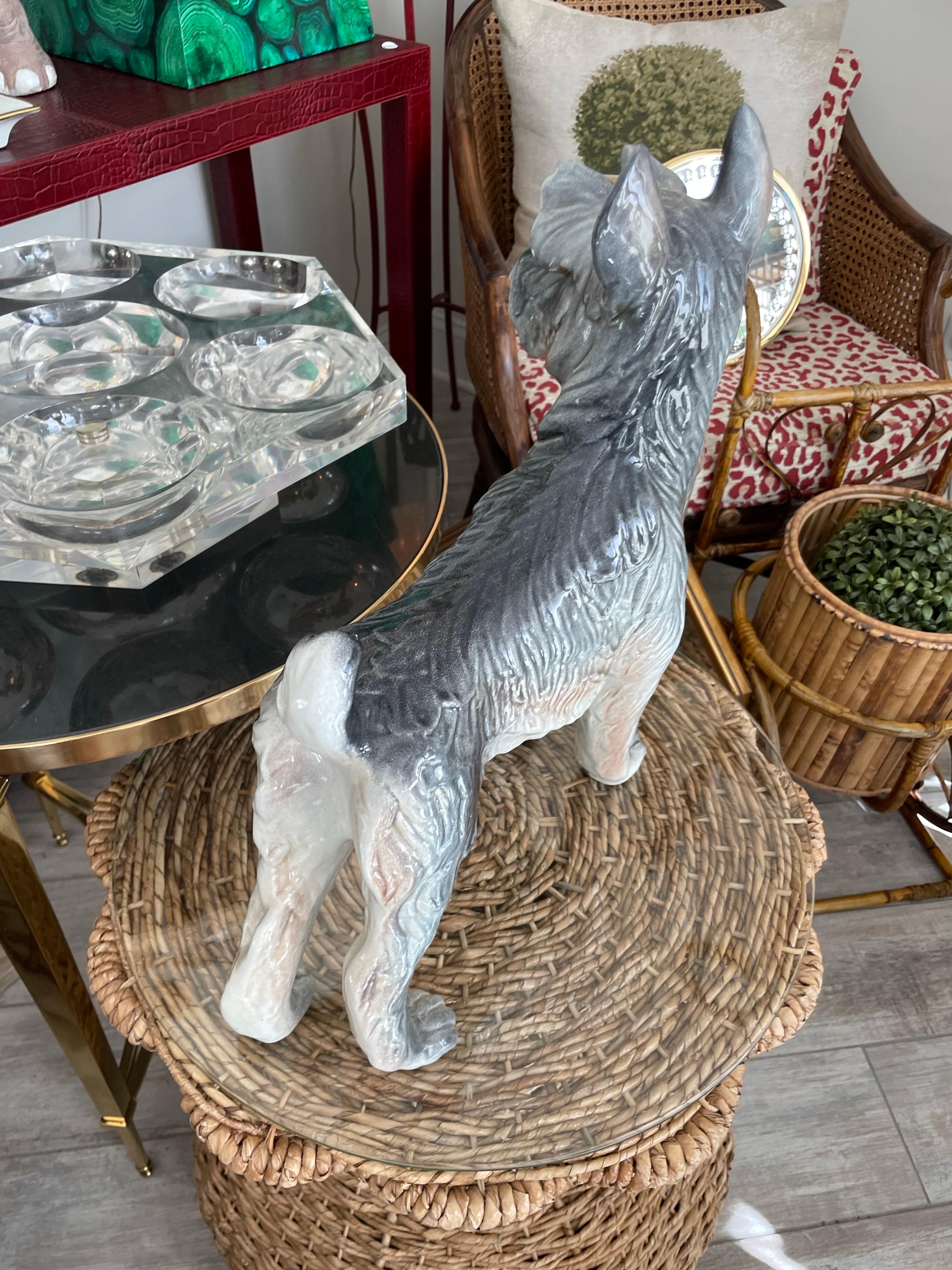 Vintage Grande Schnauzer Italiano in piedi in vendita 2
