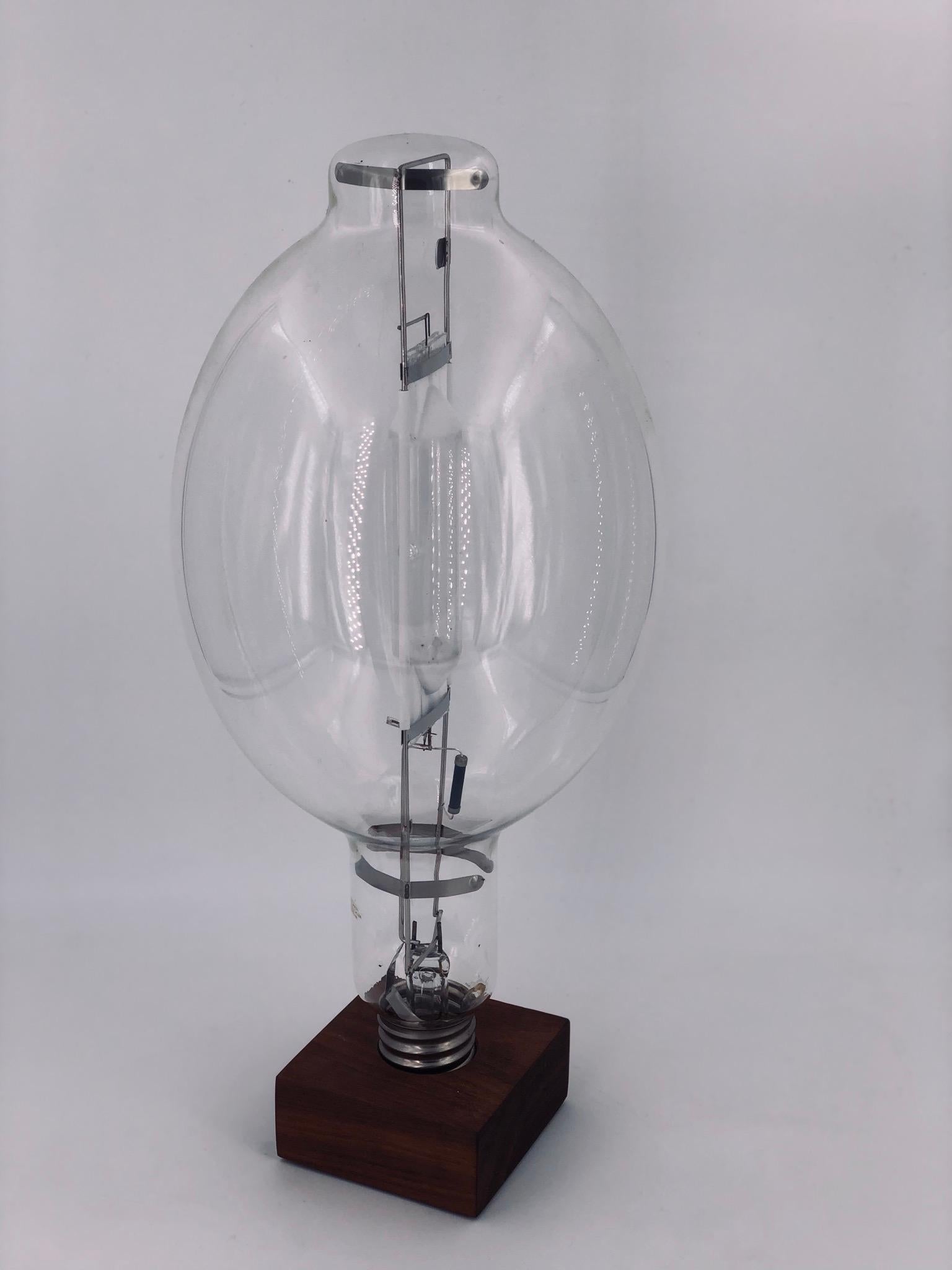 Organic Modern Vintage Large Lightbulb Sculpture on Solid Walnut Base