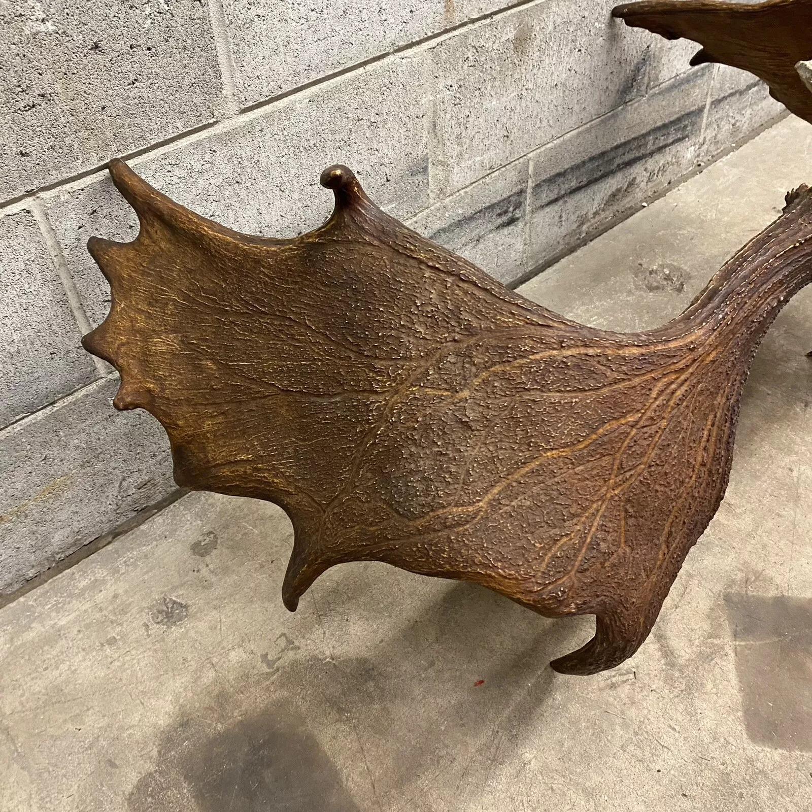 20th Century Vintage Large Moose Shed Antler Rack and Skull Taxidermy Wall Decor