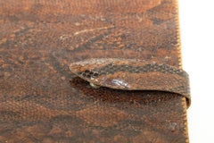 Vintage Large Portfolio Pad African Snake Skin in Amber Brown Color