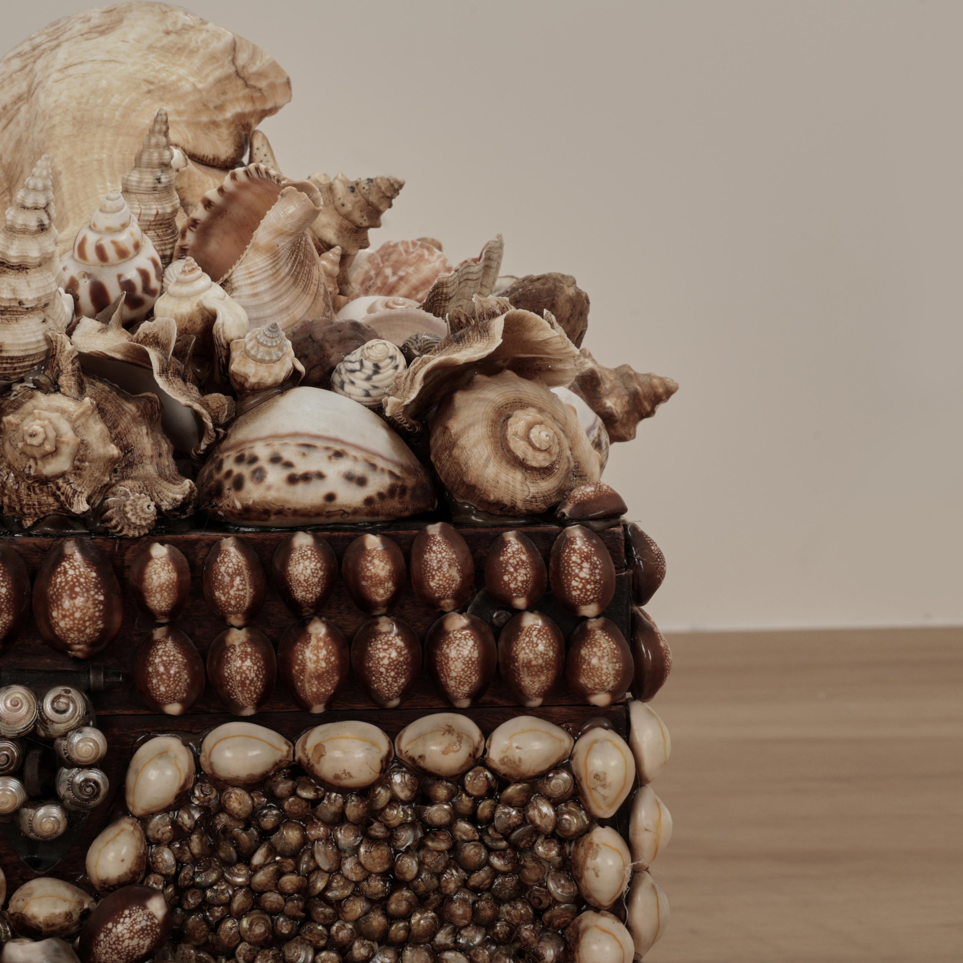 Scatola grande conchiglia incrostata d'epoca in vendita 2