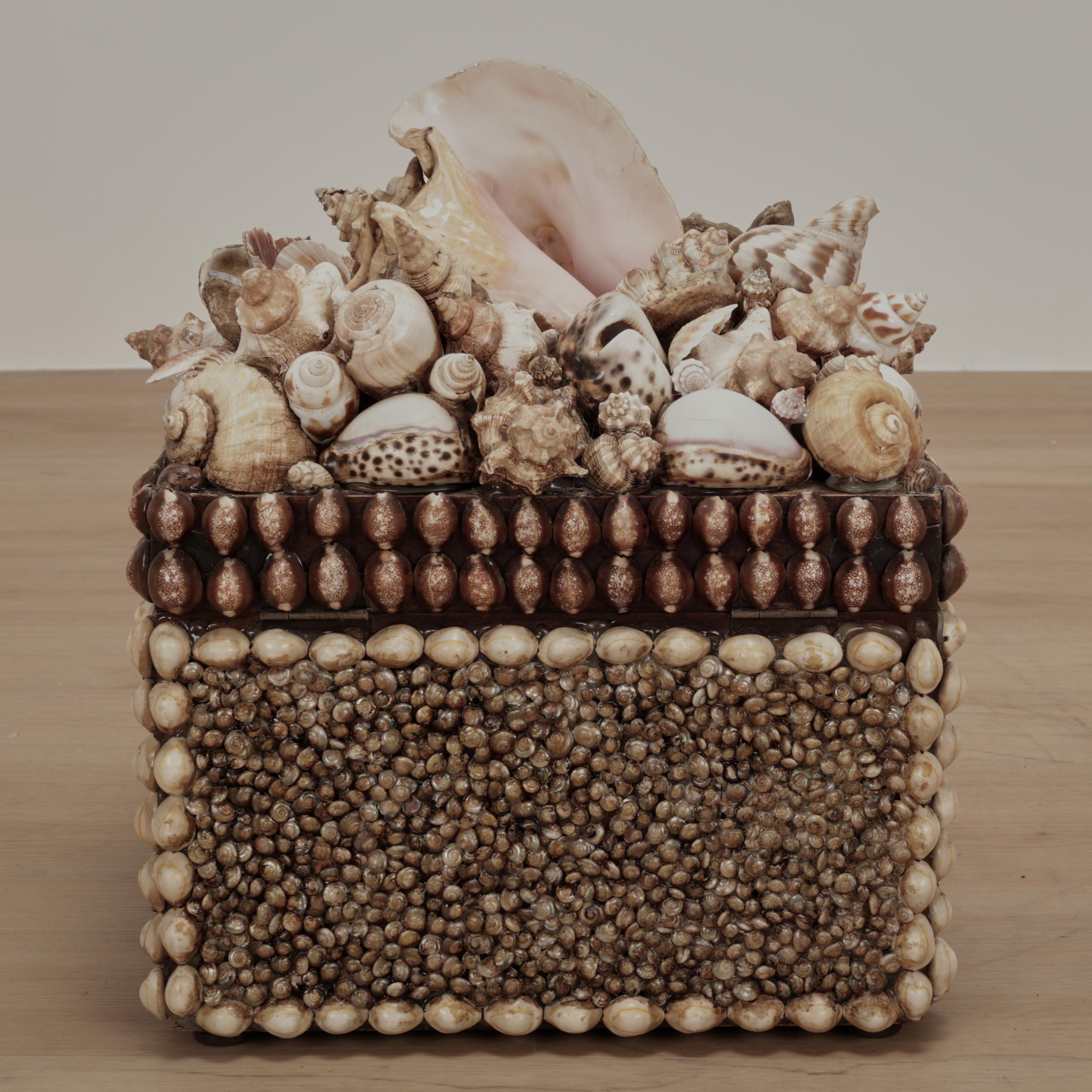 Scatola grande conchiglia incrostata d'epoca in vendita 4