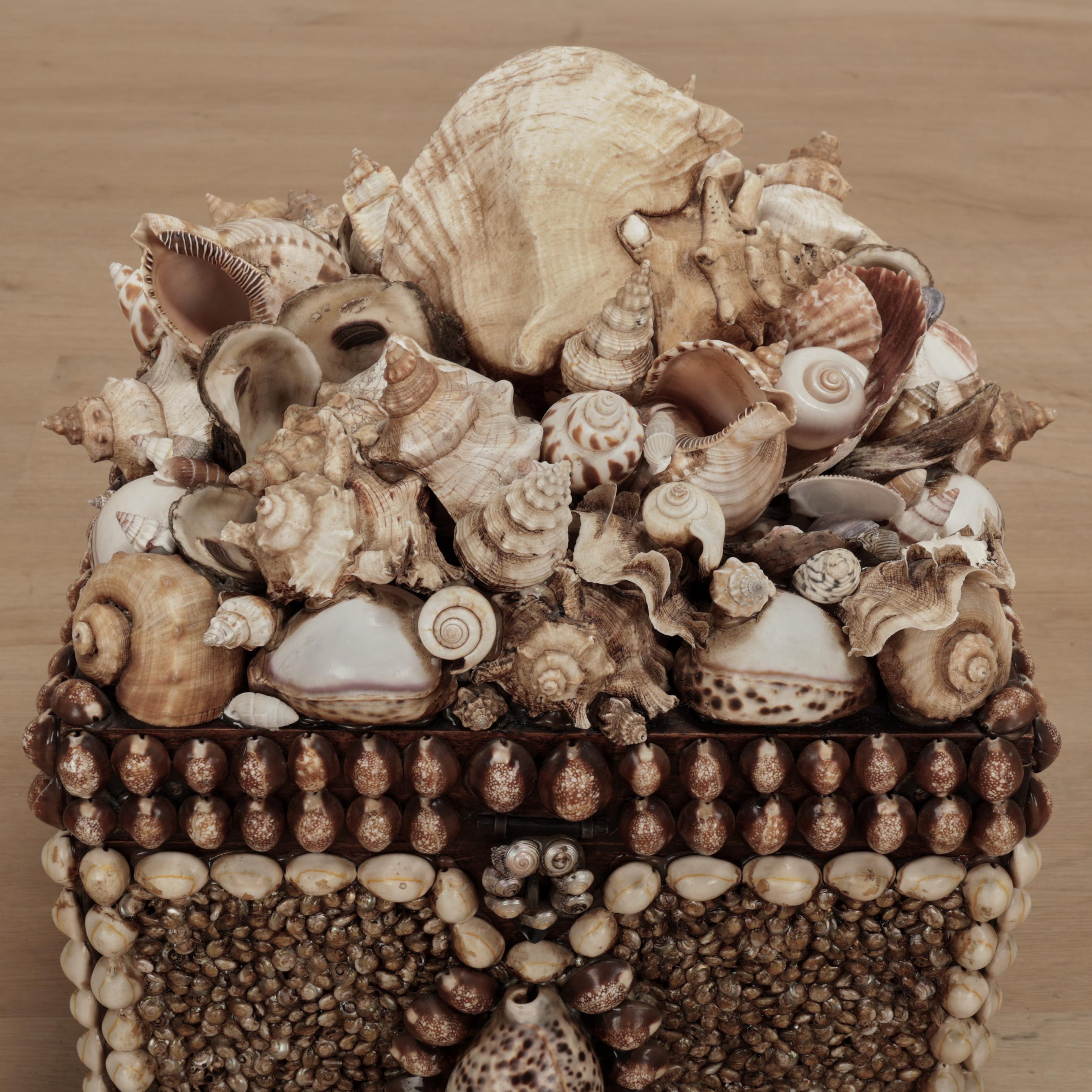 Scatola grande conchiglia incrostata d'epoca in vendita 5