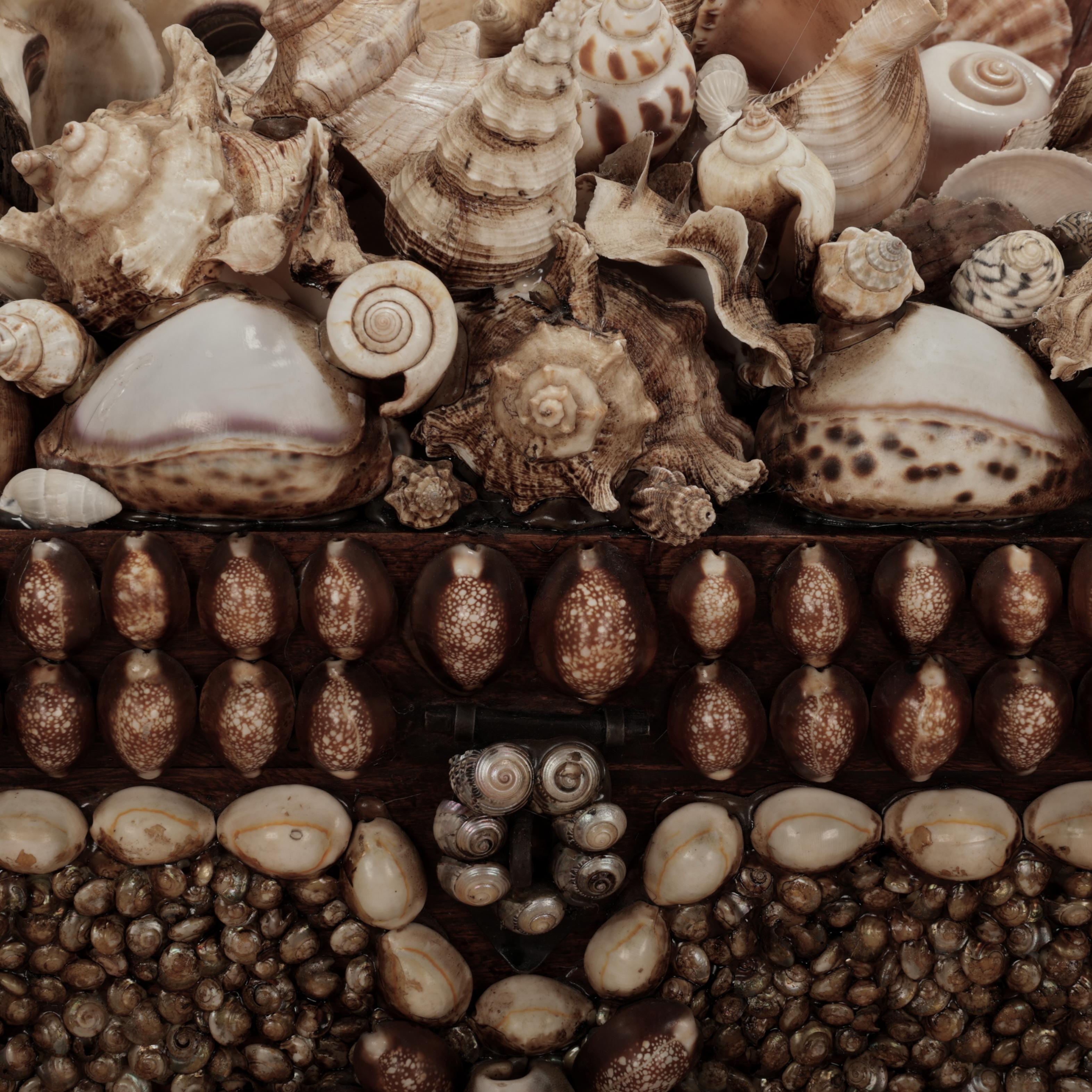 Scatola grande conchiglia incrostata d'epoca In condizioni buone in vendita a Palm Beach, FL