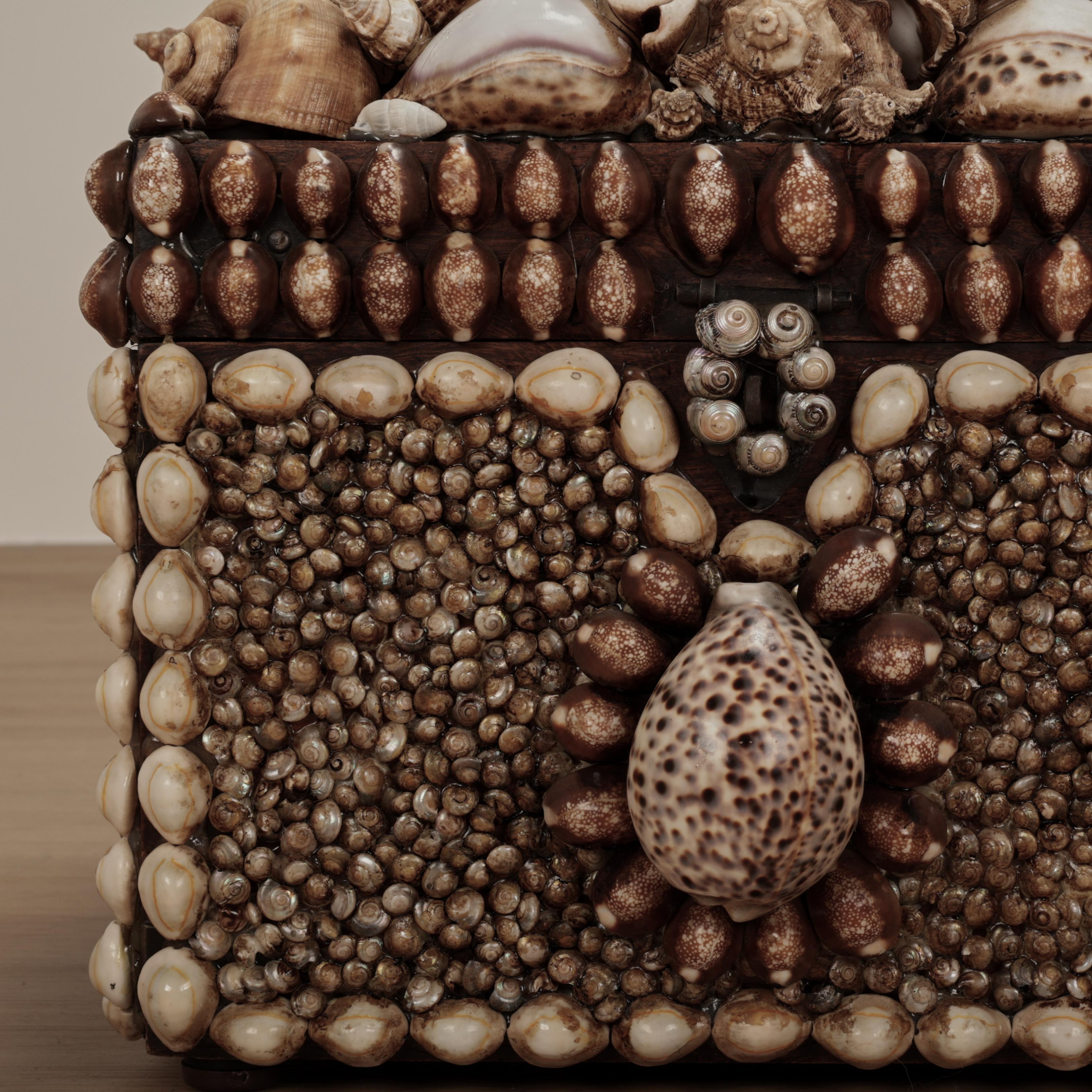 XX secolo Scatola grande conchiglia incrostata d'epoca in vendita