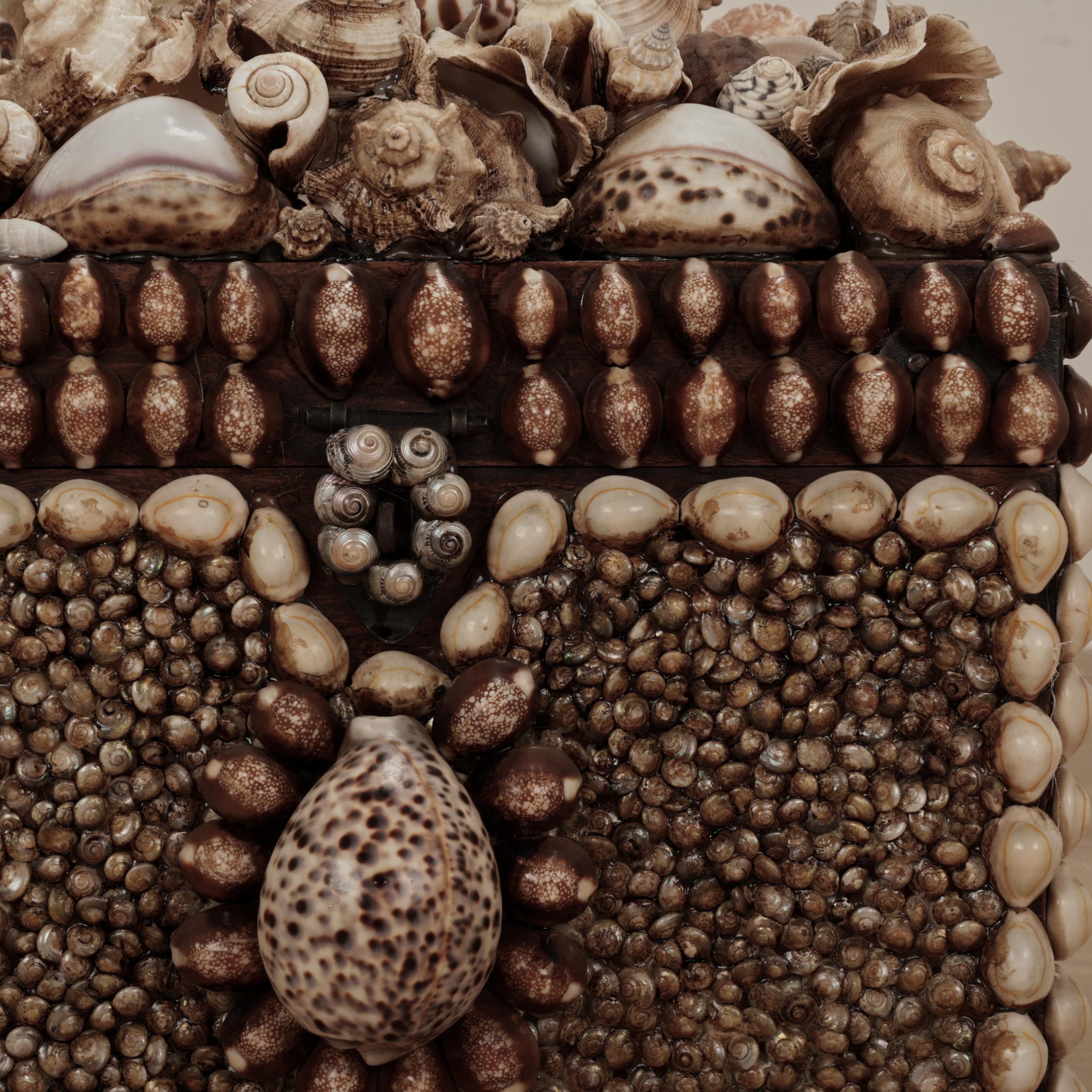 Conchiglia Scatola grande conchiglia incrostata d'epoca in vendita