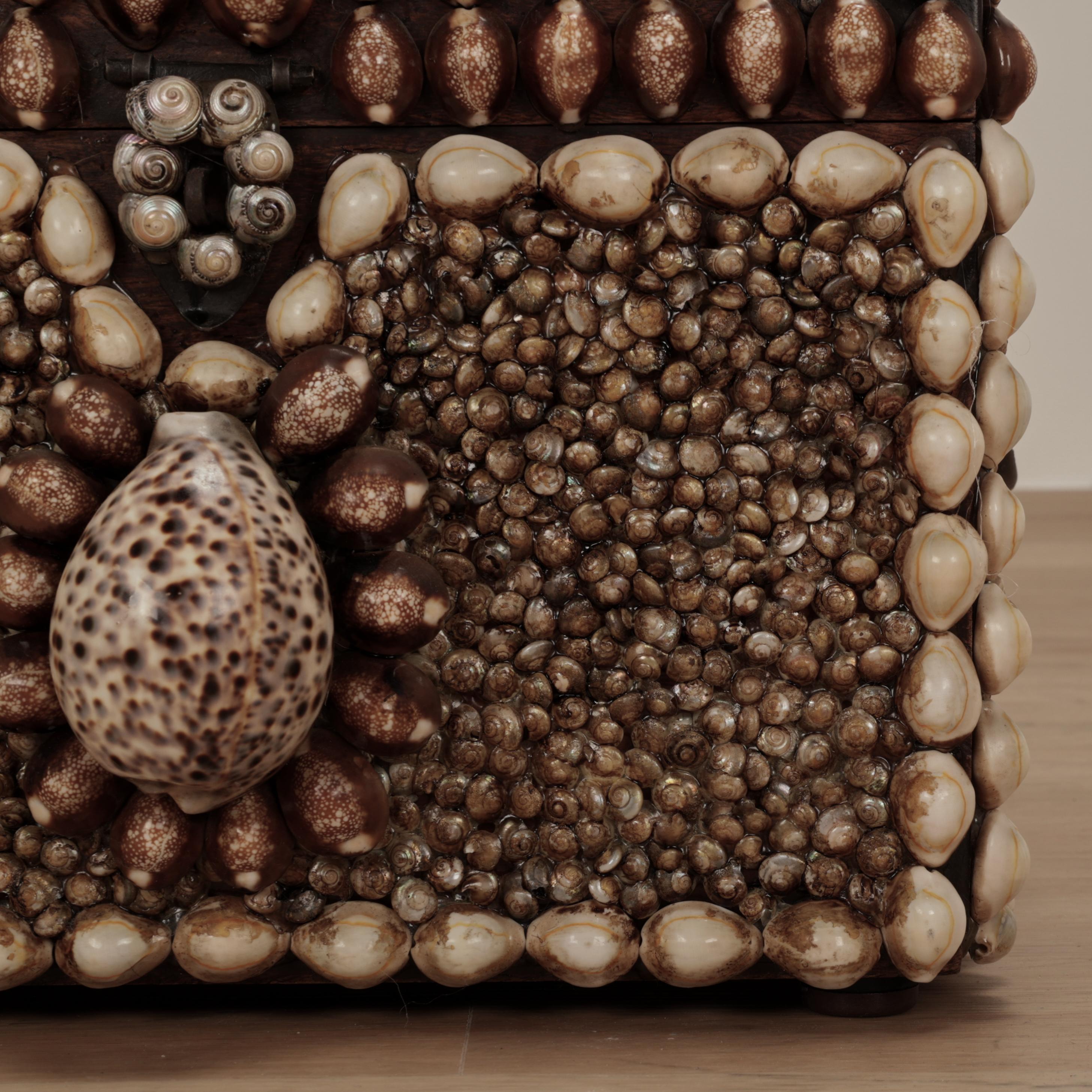 Scatola grande conchiglia incrostata d'epoca in vendita 1