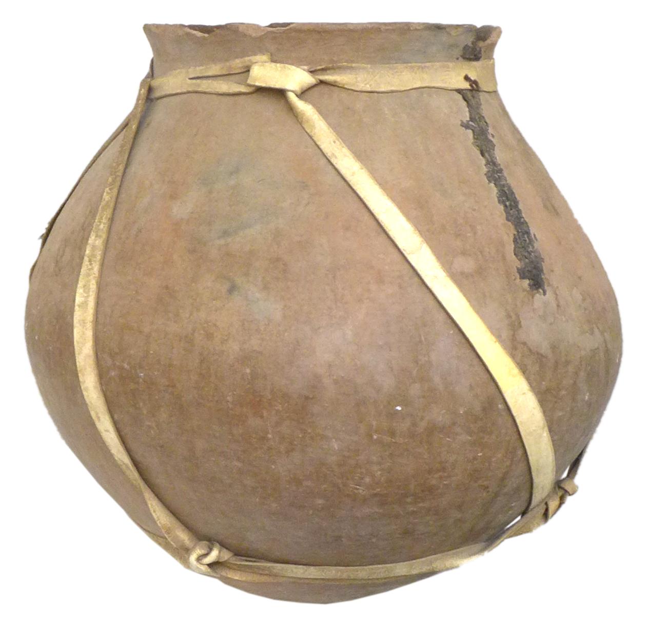 tesgüino