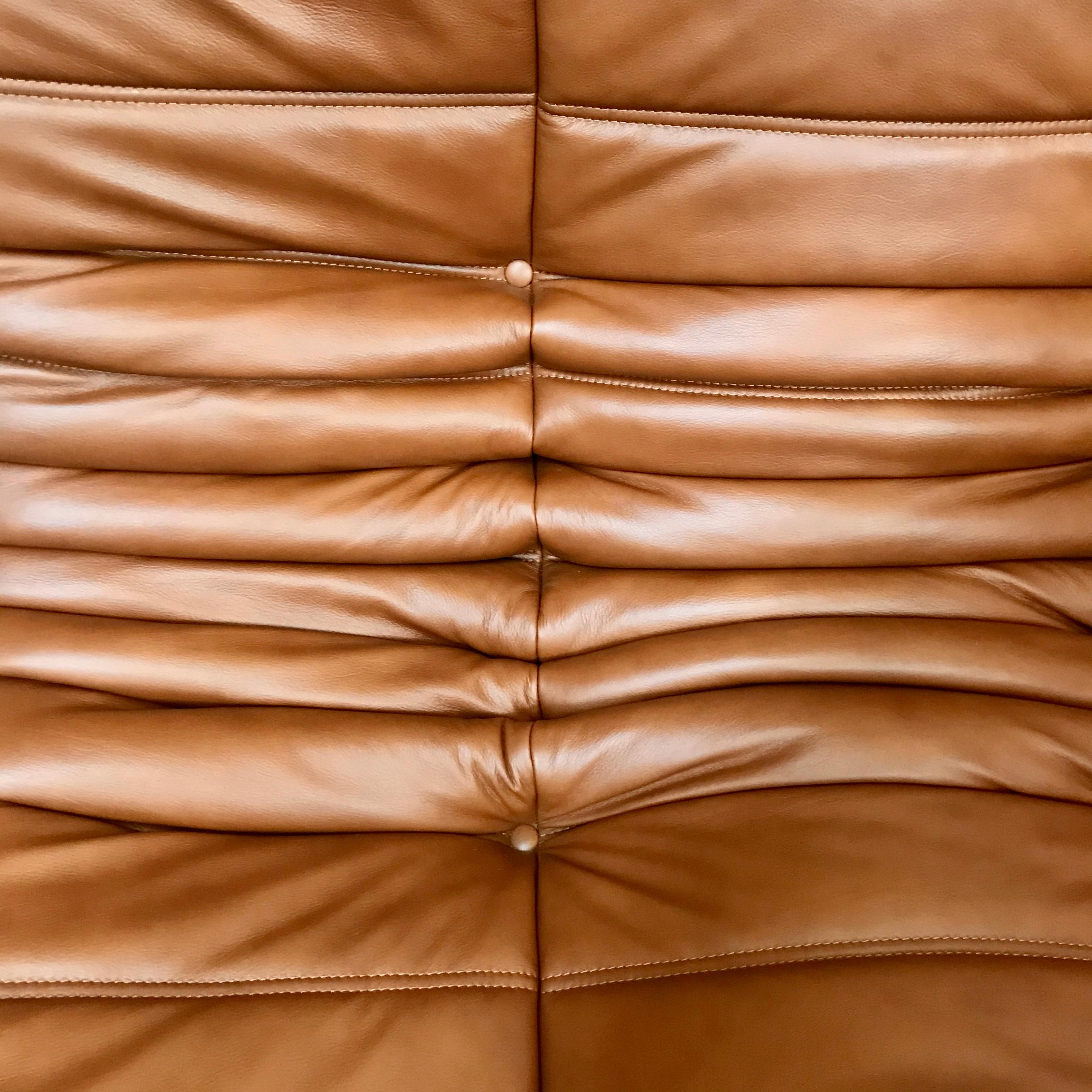 Vintage Large Togo Sofa in Dark Cognac Leather by M. Ducaroy for Ligne Roset 1