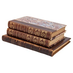 Vintage Ende des 20. Jahrhunderts Leder gebundene Bücher - Satz von 3