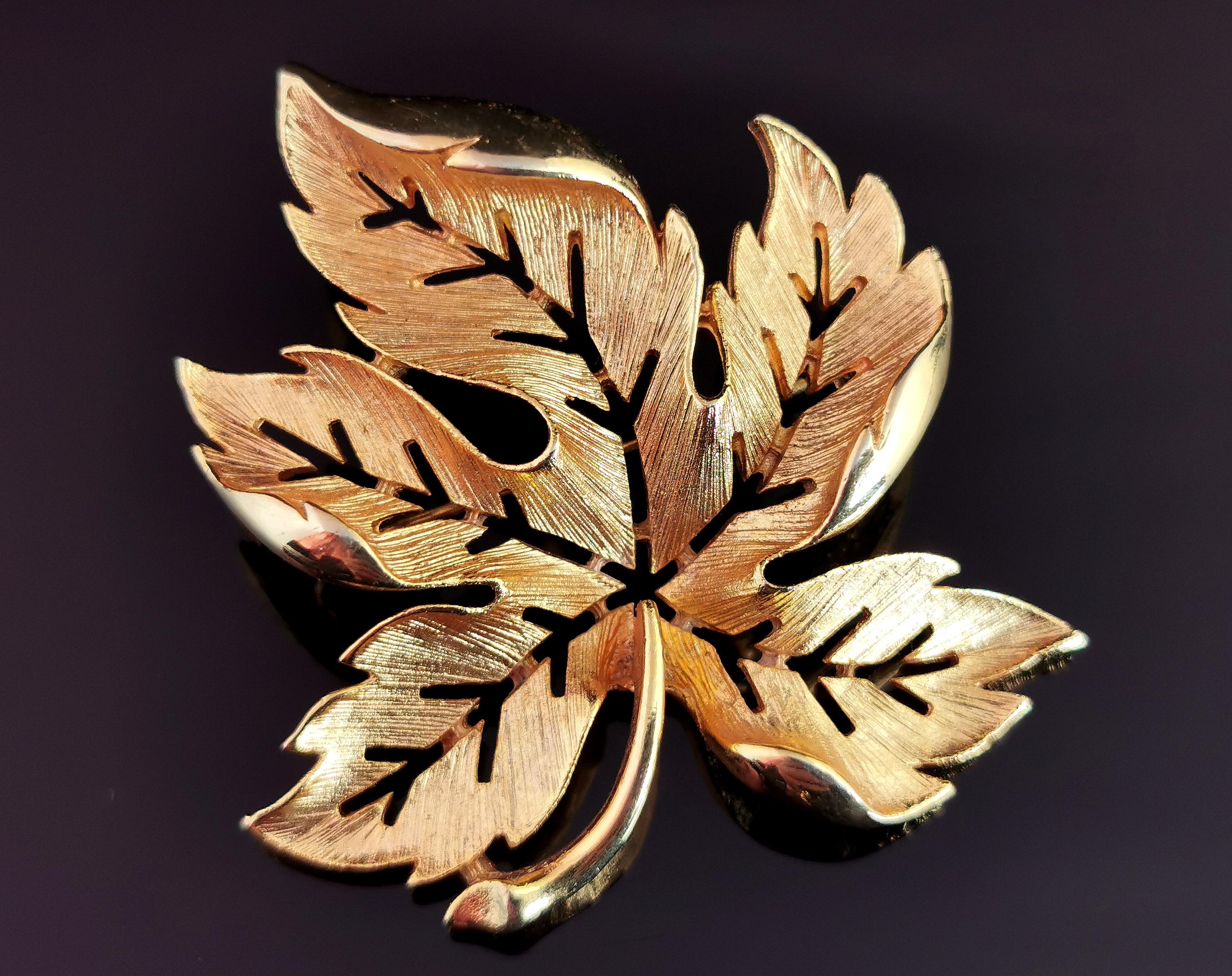 A gorgeous vintage gold tone leaf brooch by Sarah Coventry.

This brooch is such a versatile piece and ideal for adding a finishing touch to your outfits.

It is made from gold tone metal, textured in a maple leaf type design.

It is quite a large