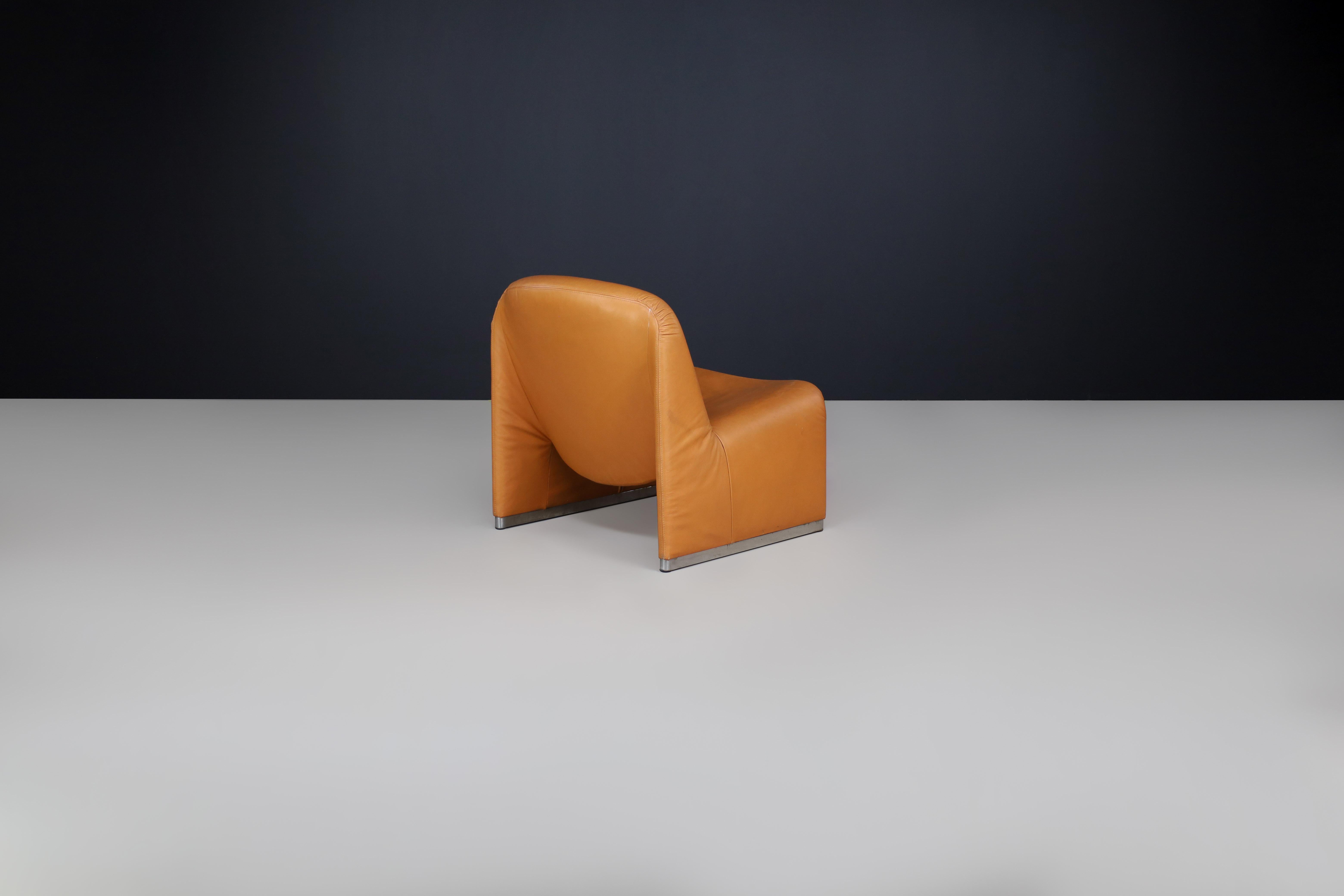 Vintage Alky Lounge Chair aus Leder von Giancarlo Piretti für Castelli & Artifort im Angebot 1