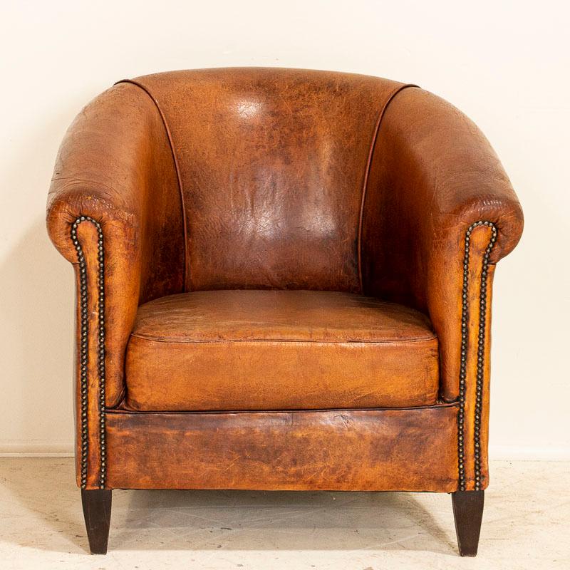 Vintage leather club chairs are sought after these days by those seeking to add an aged element to a modern home. This barrel chair will do just that with a rich patina that only comes from years of use. Signs of age include crackles, cracks and