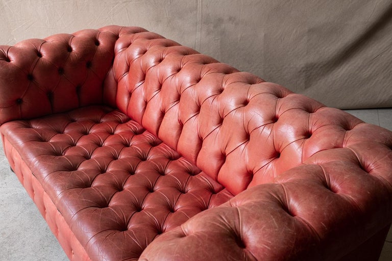 Vintage Leather Chesterfield Sofa From France, Circa 1950 For Sale 1