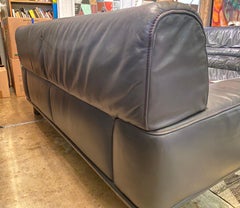 Vintage Leather De Sede DS-18 Loveseat