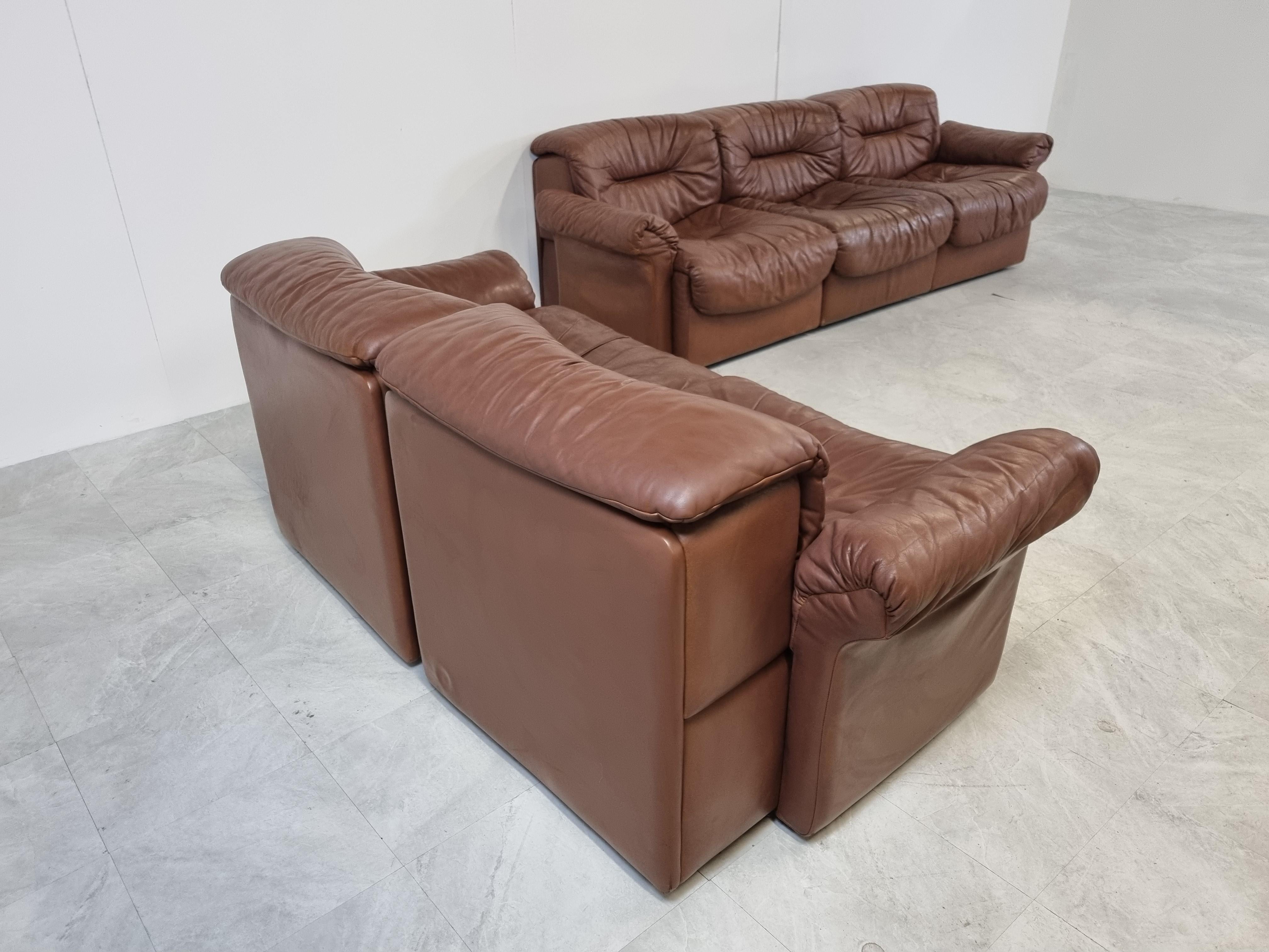 Vintage Leather DS14 Sofa Set by De Sede, 1970s 2