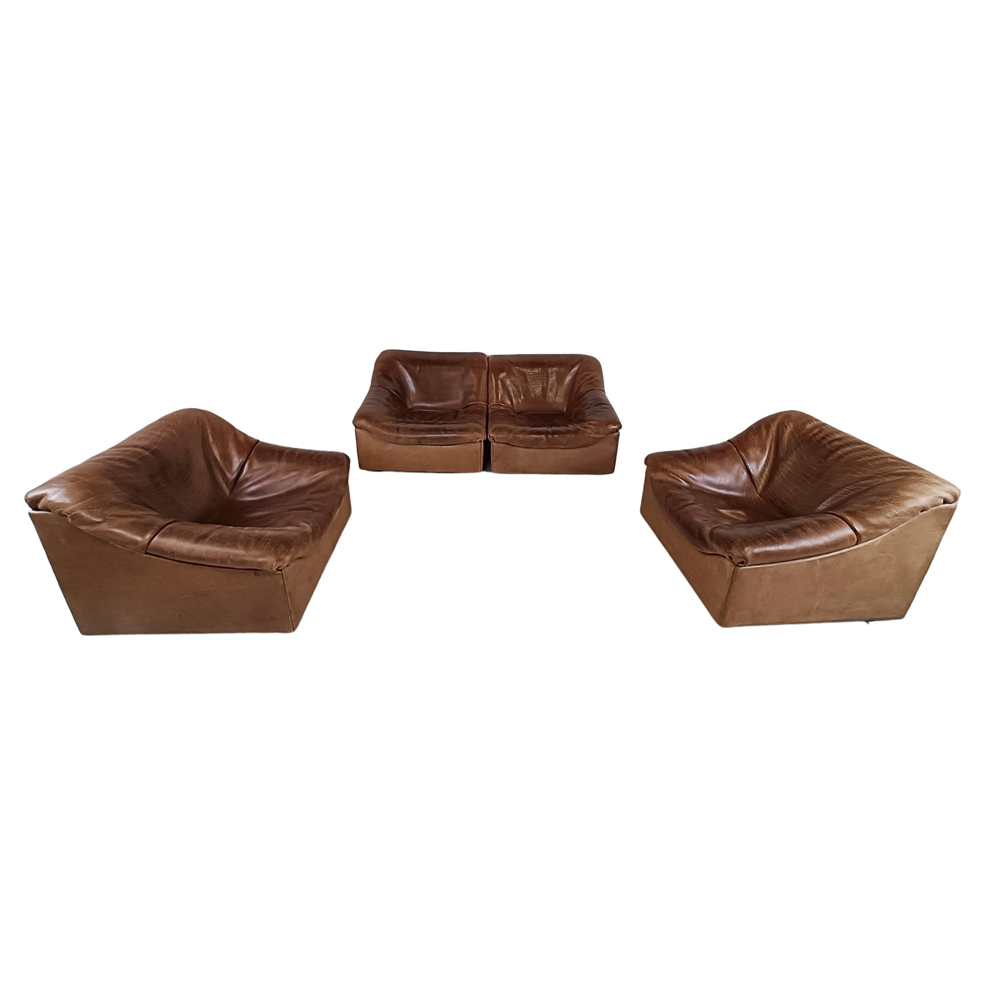 Vintage Leather Ds46 Modular Sofa by De Sede, 1970s For Sale