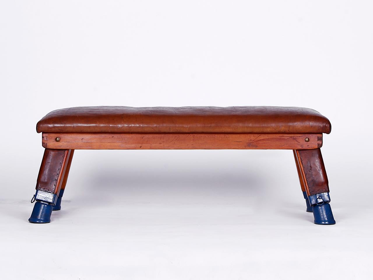 20th Century Gymnastic Vintage Leather Pommel Horse Gym Bench TOP, 1930s