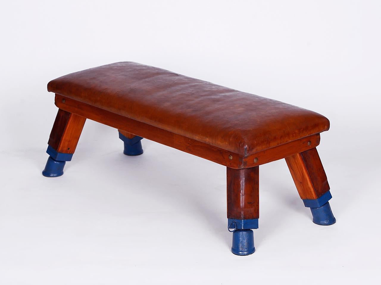 Gymnastic Vintage Leather Pommel Horse Gym Bench TOP, 1930s 1