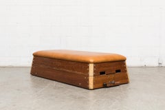 Gymnastique vintage en cuir  Établi