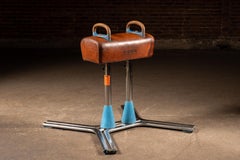 Vintage Leather Pommel Horse by Nissen