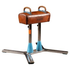 Vintage Leather Pommel Horse by Nissen
