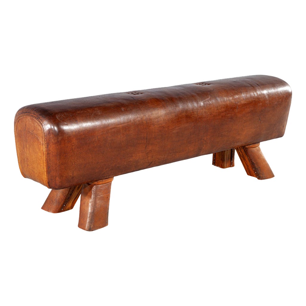 Vintage Caballo con pomo de cuero Circa 1950
s