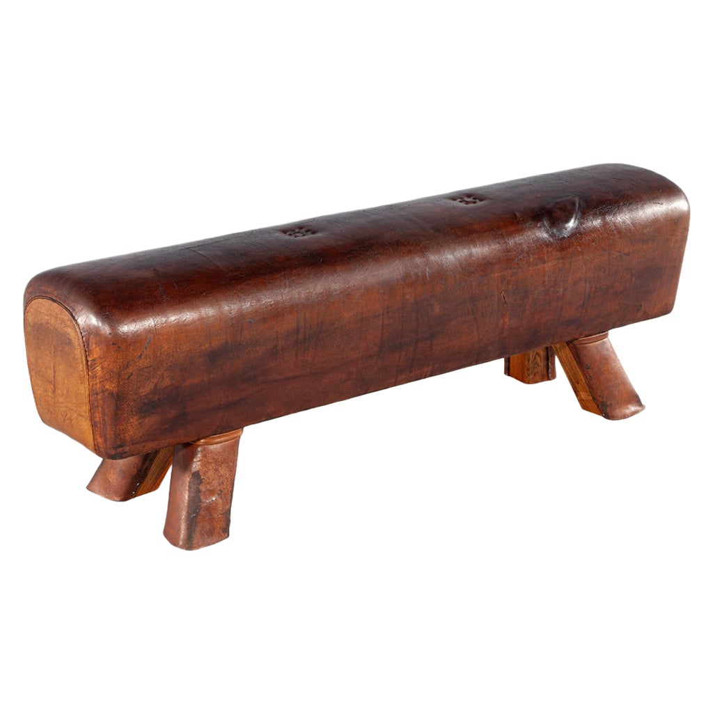 Vintage Caballo con pomo de cuero Circa 1950
s